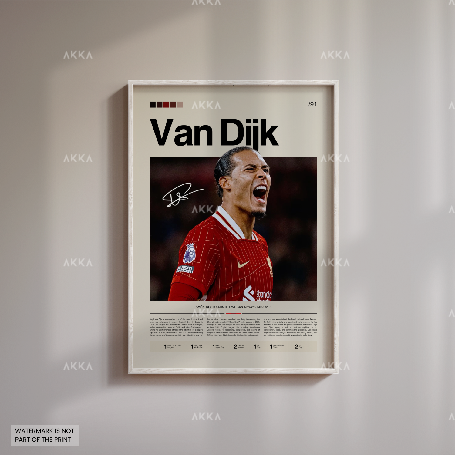 Virgil Van Dijk - Liverpool FC