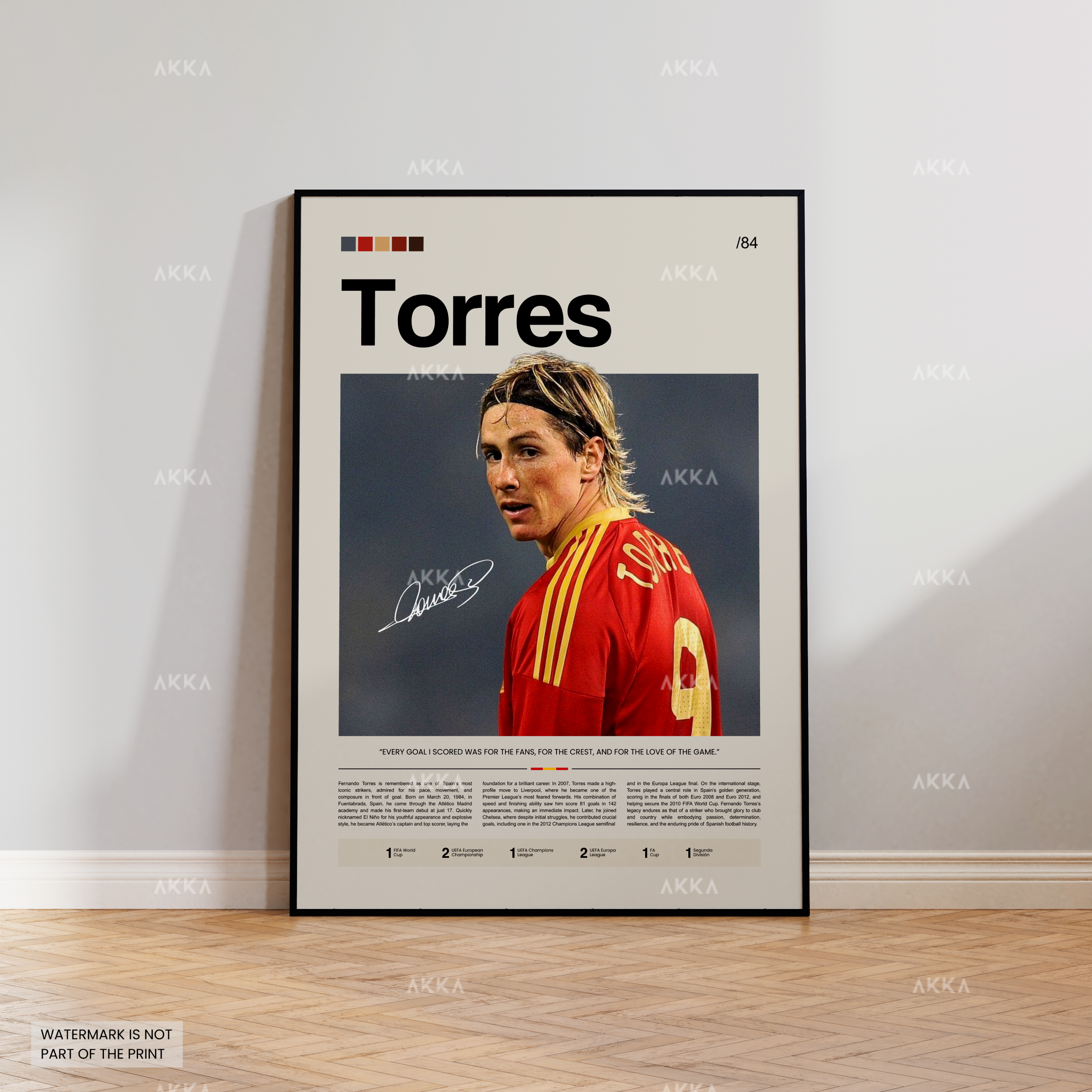 Fernando Torres - Spain