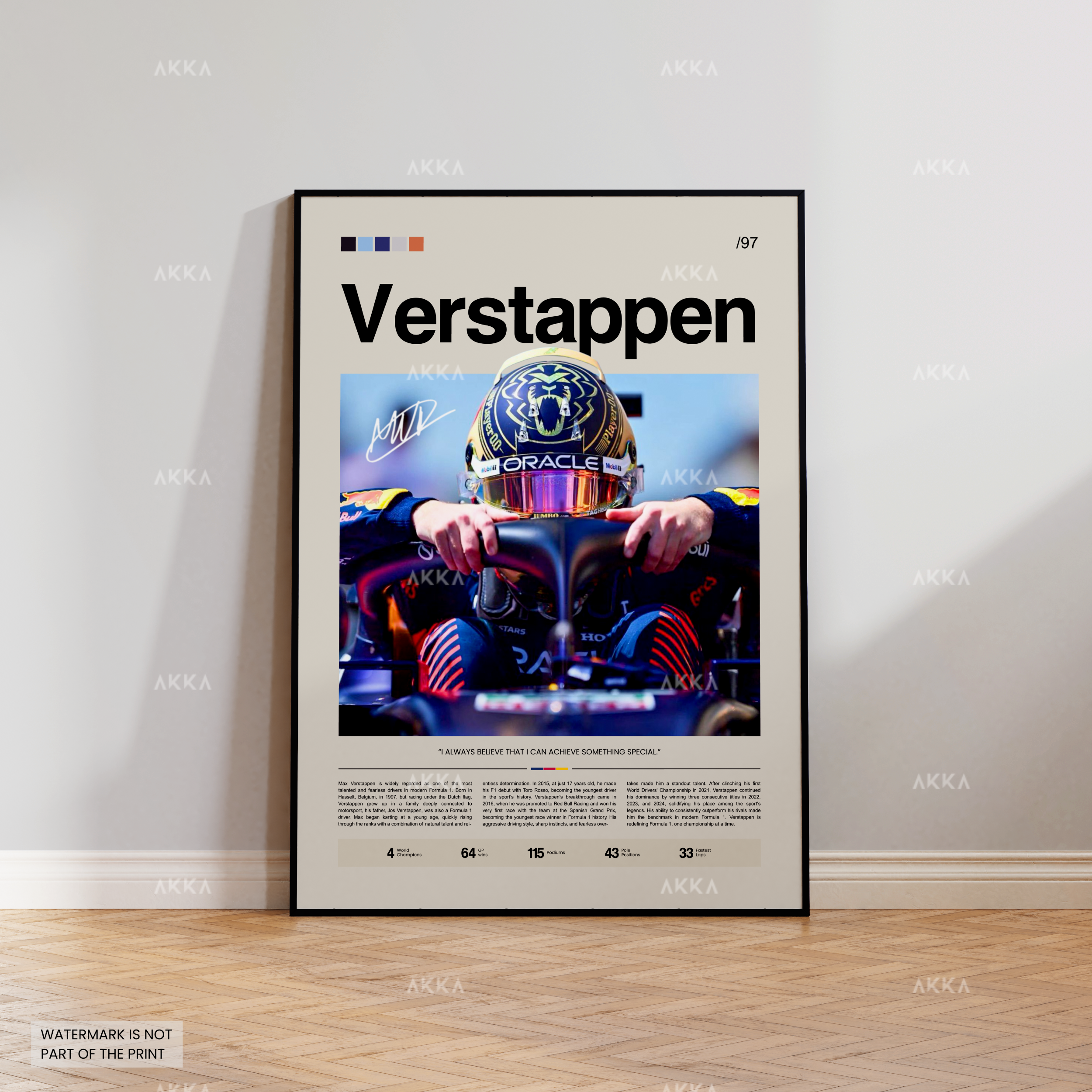 Max Verstappen - Red Bull Racing