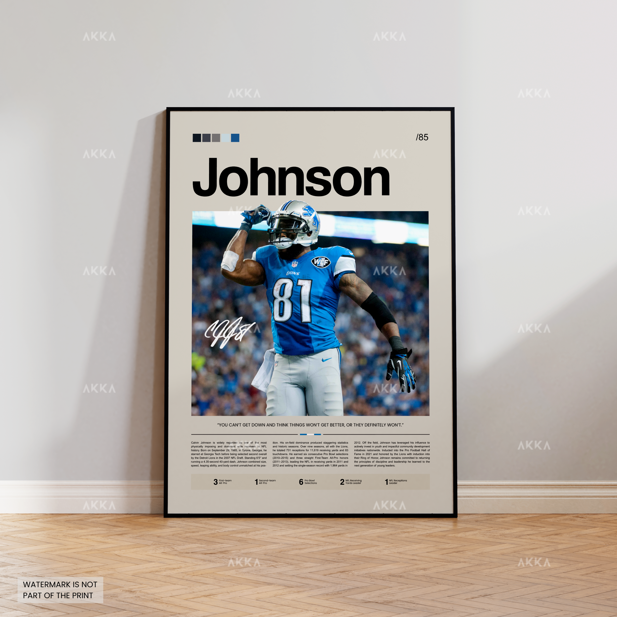 Calvin Johnson - Detroit Lions