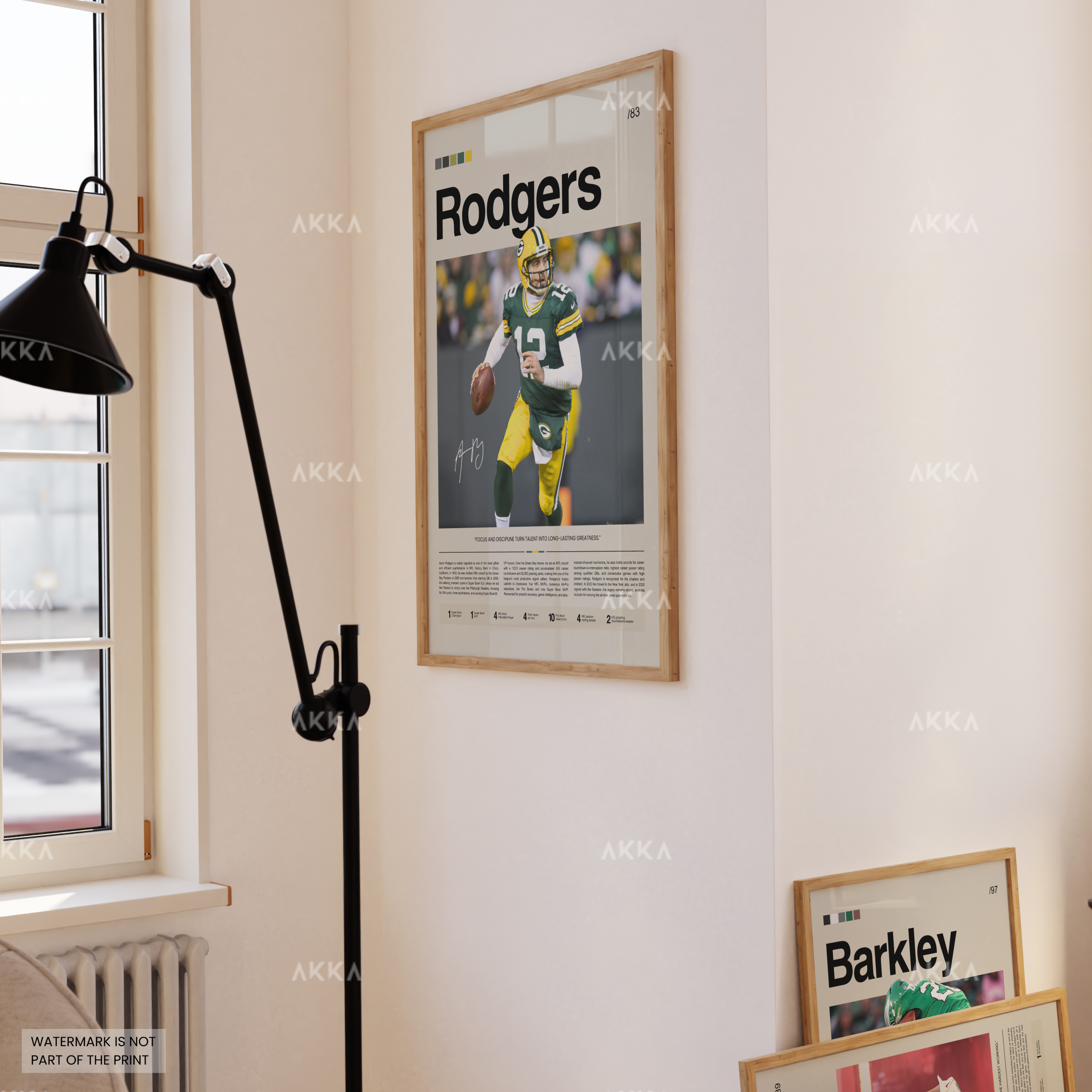 Aaron Rodgers - Green Bay Packers