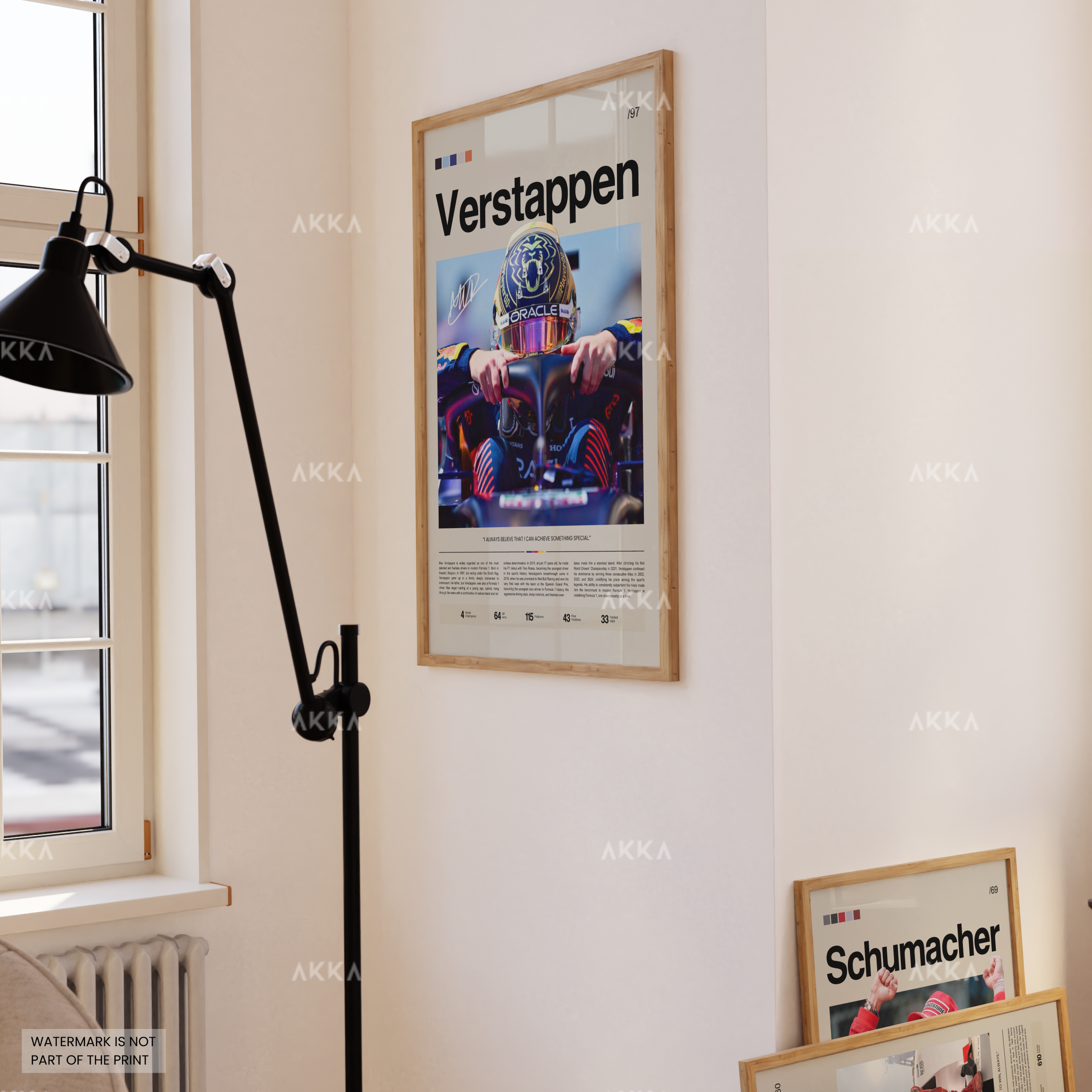 Max Verstappen - Red Bull Racing