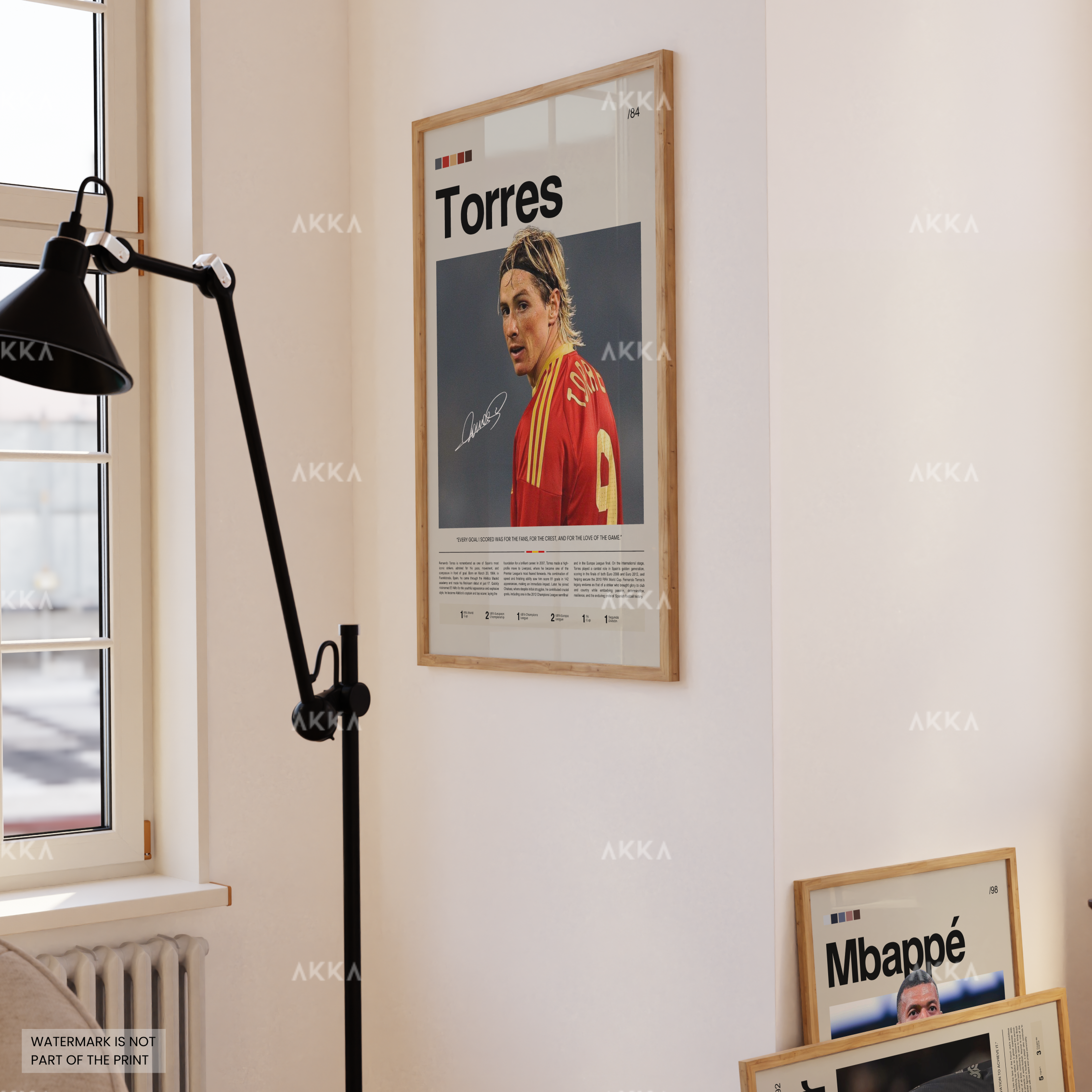 Fernando Torres - Spain