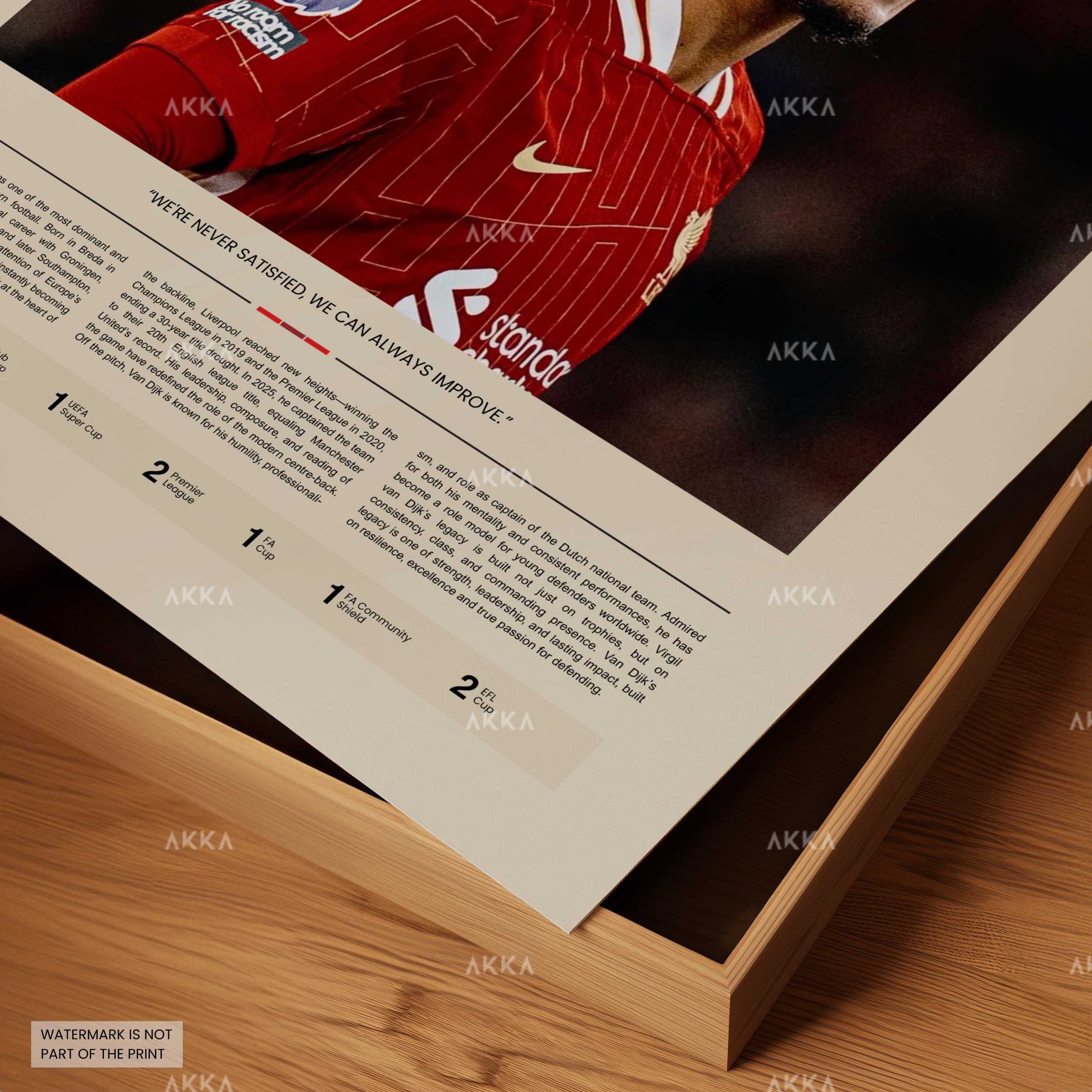 Virgil Van Dijk - Liverpool FC