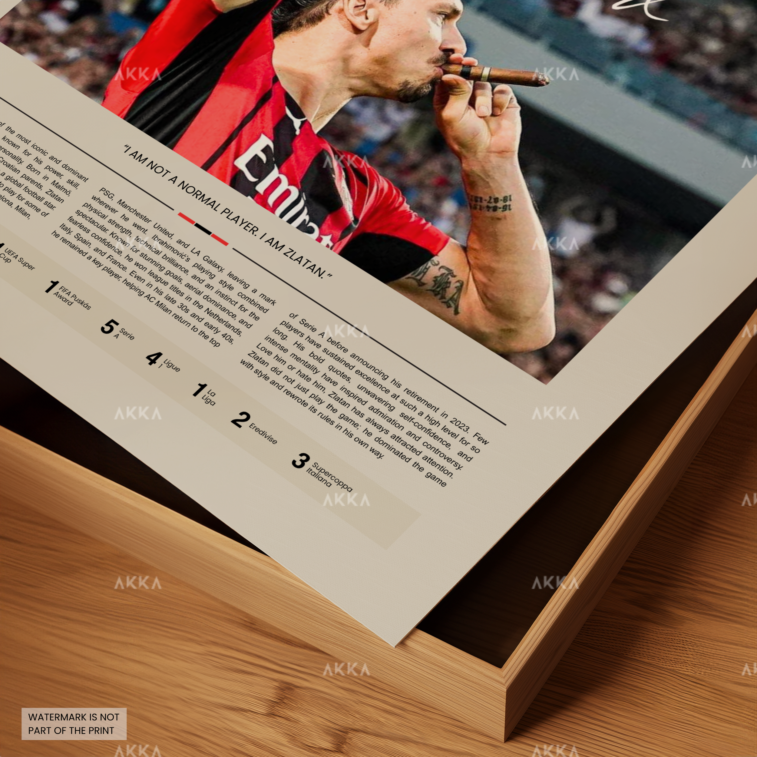 Zlatan Ibrahimovic - AC Milan