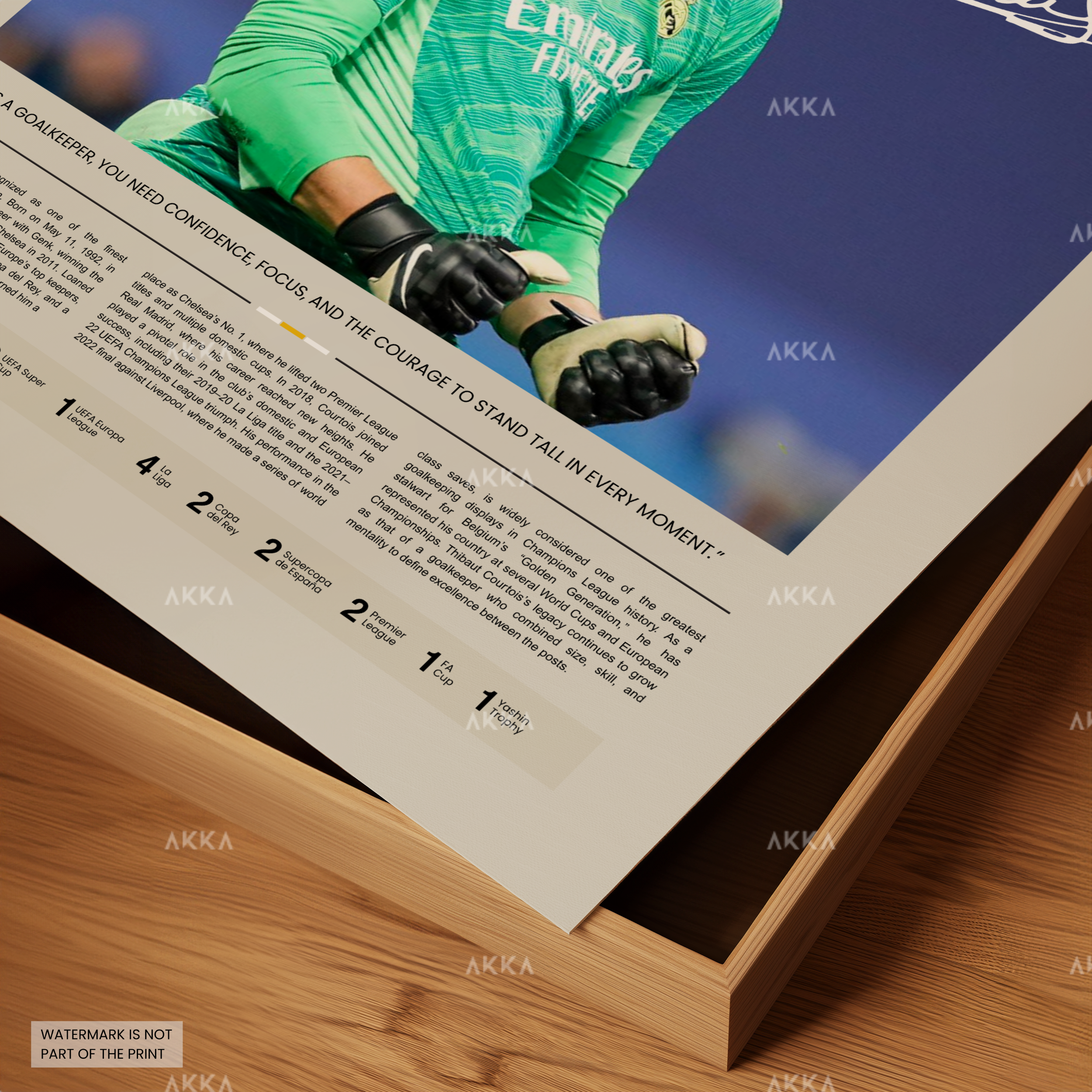 Thibaut Courtois - Real Madrid