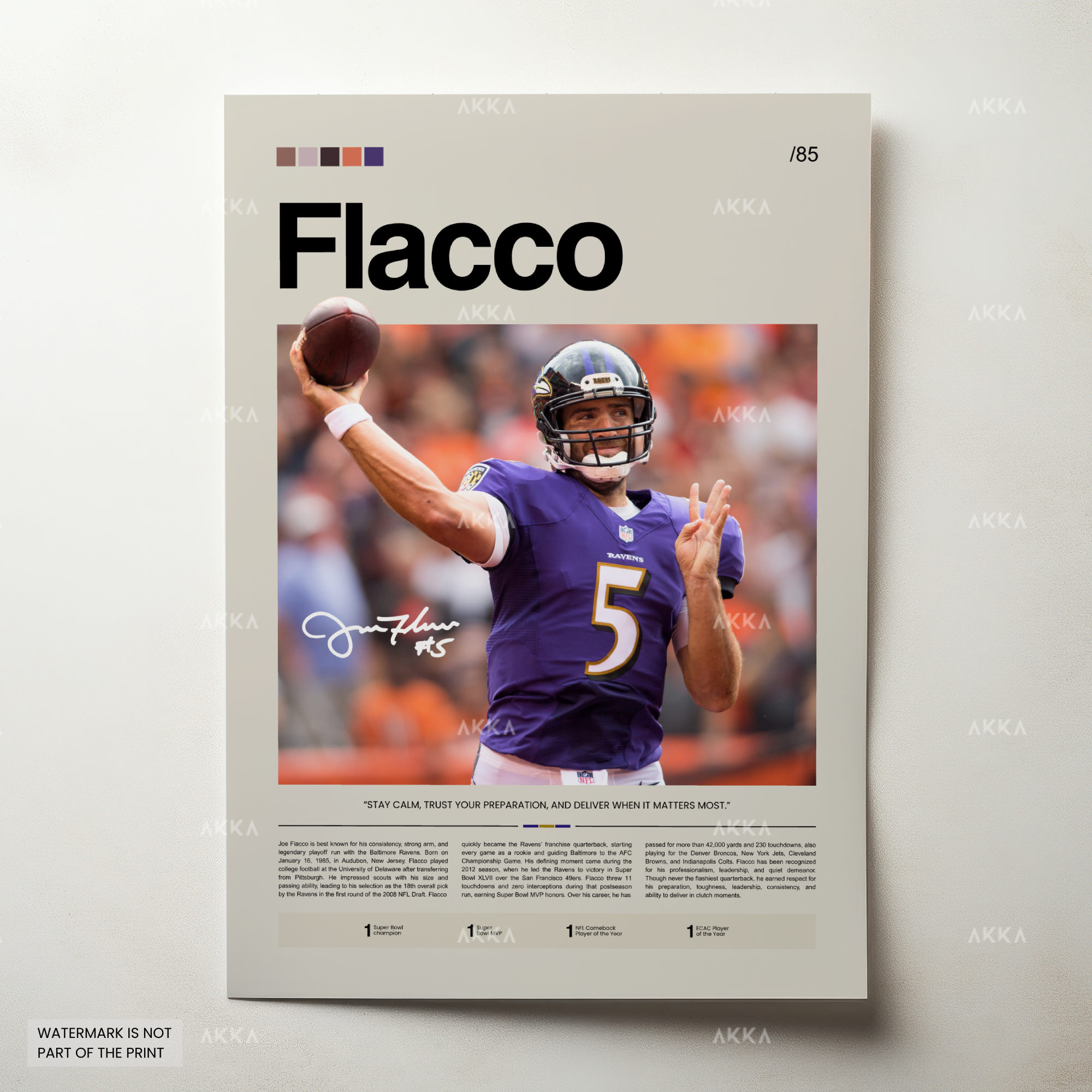 Joe Flacco - Baltimore Ravens
