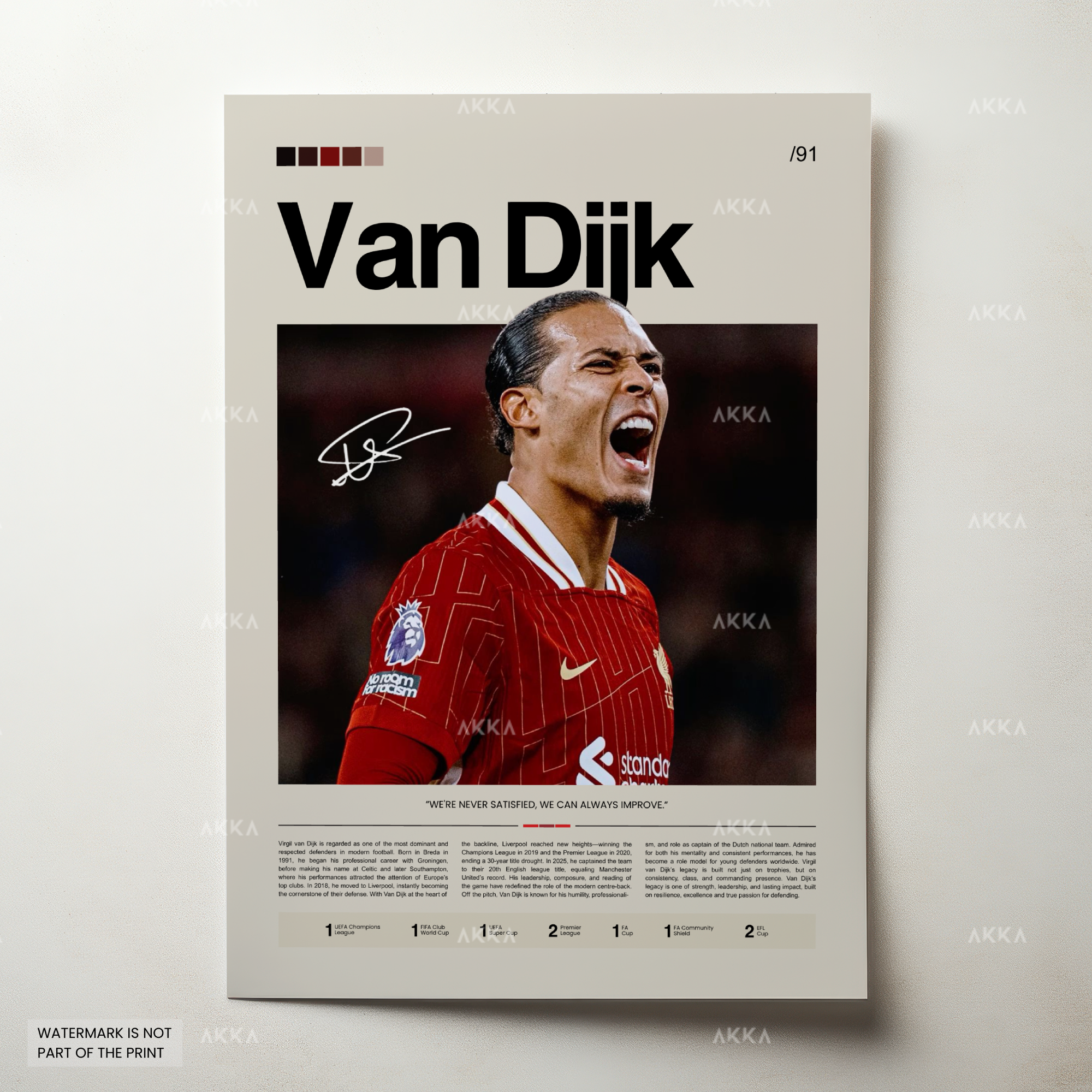 Virgil Van Dijk - Liverpool FC