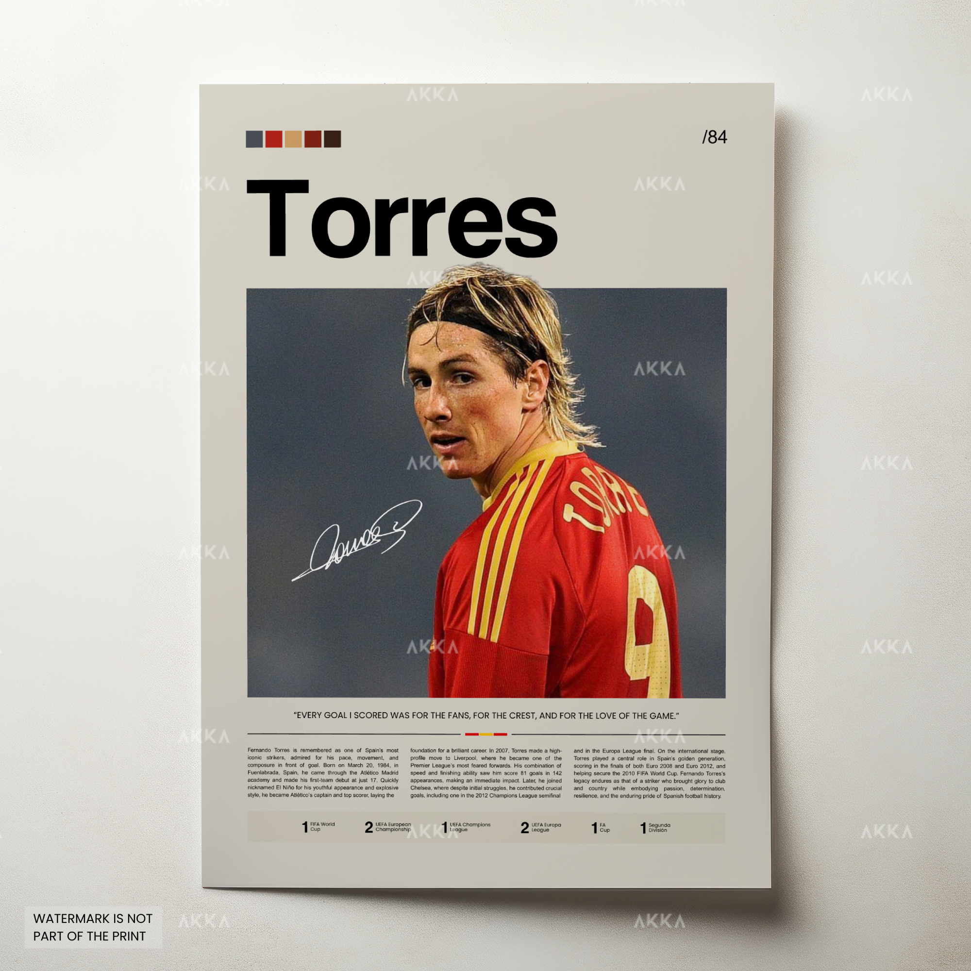 Fernando Torres - Spain