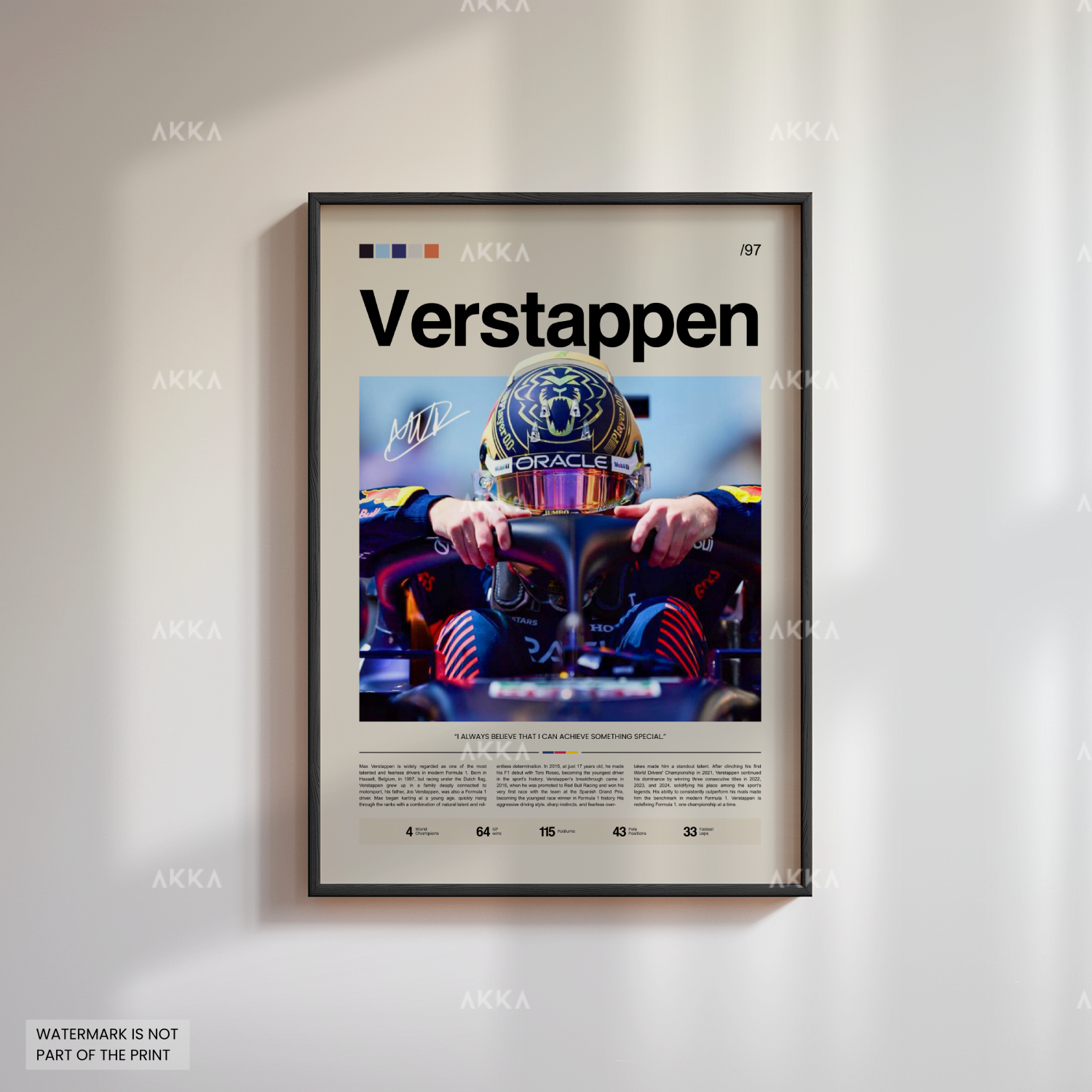 Max Verstappen - Red Bull Racing