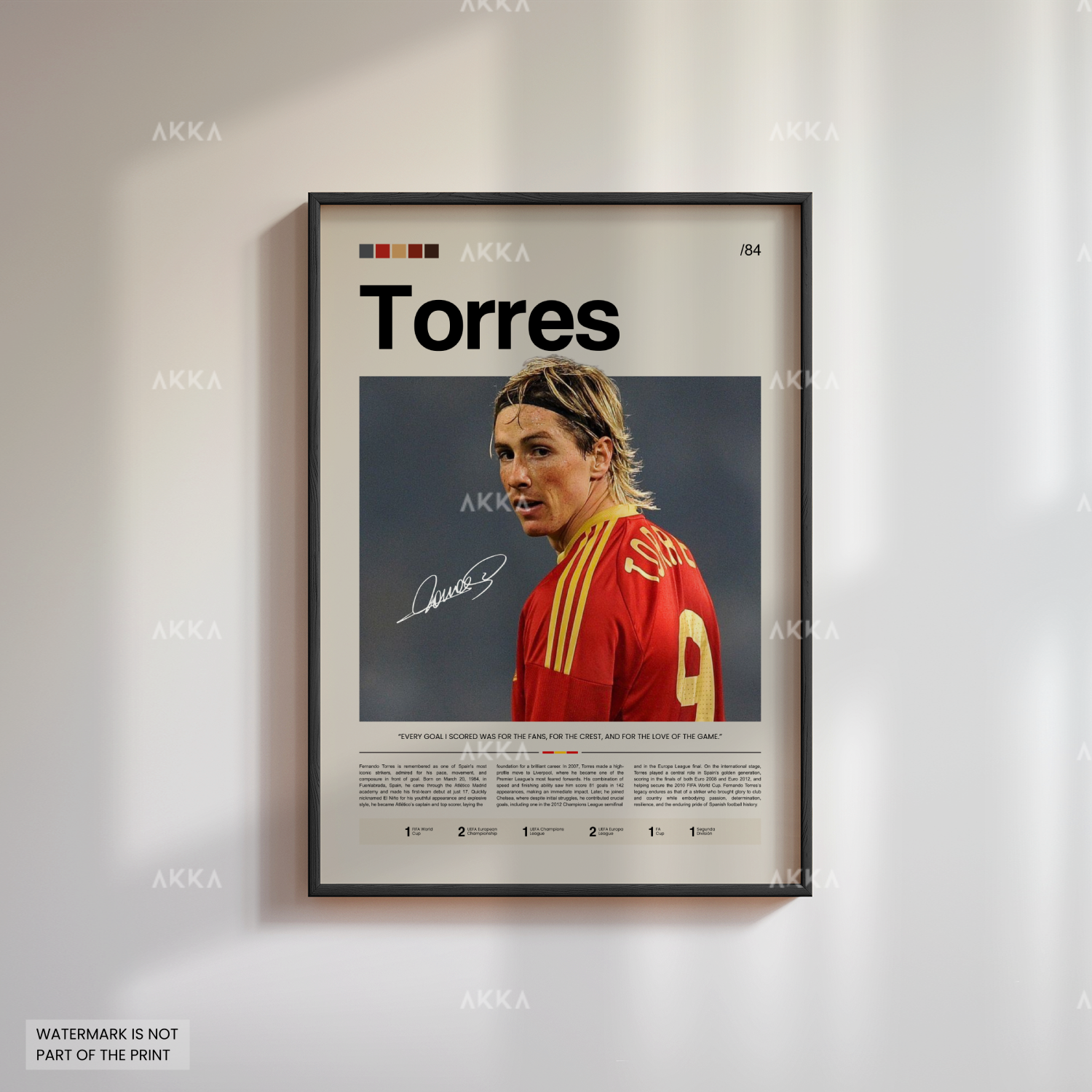 Fernando Torres - Spain