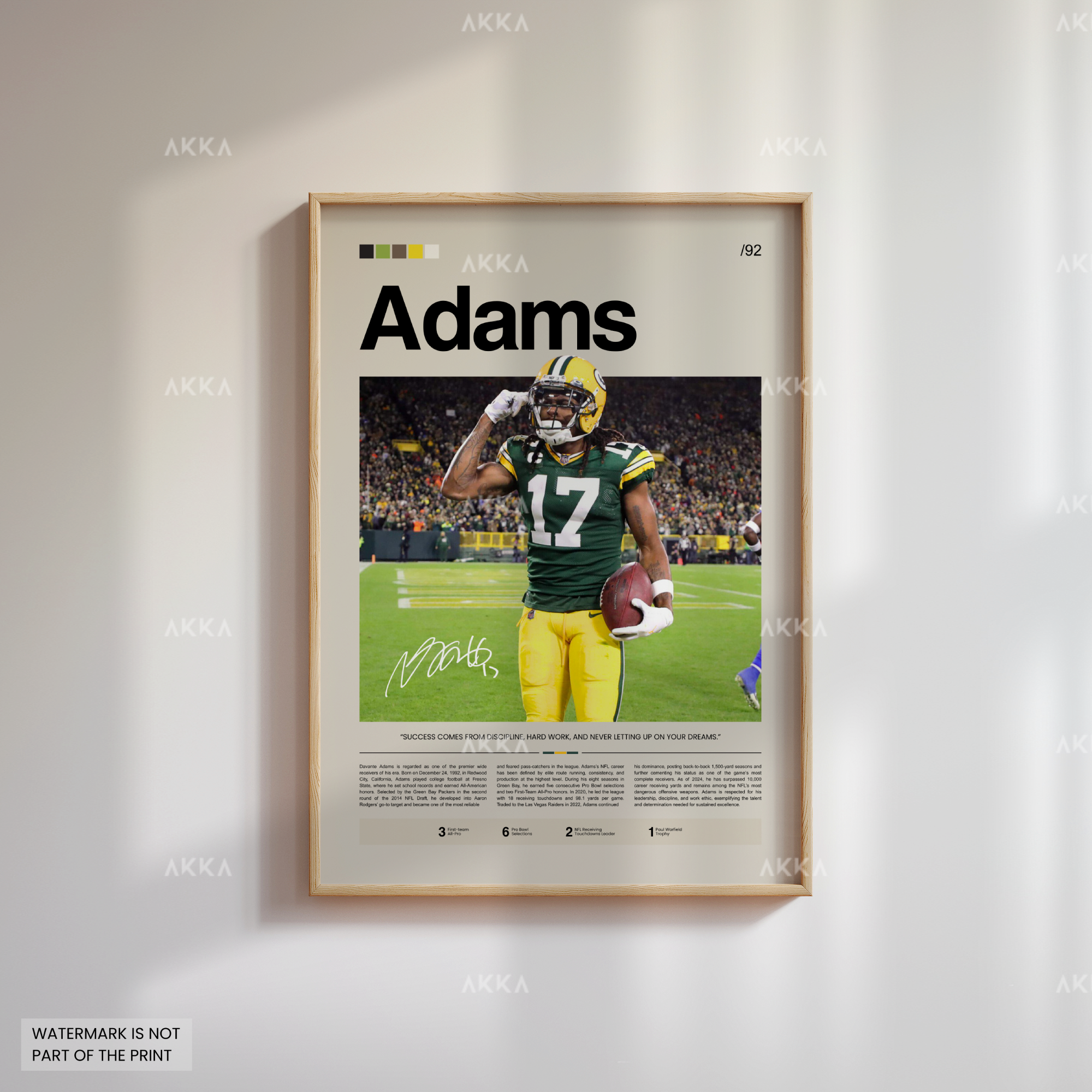 Davante Adams - Green Bay Packers