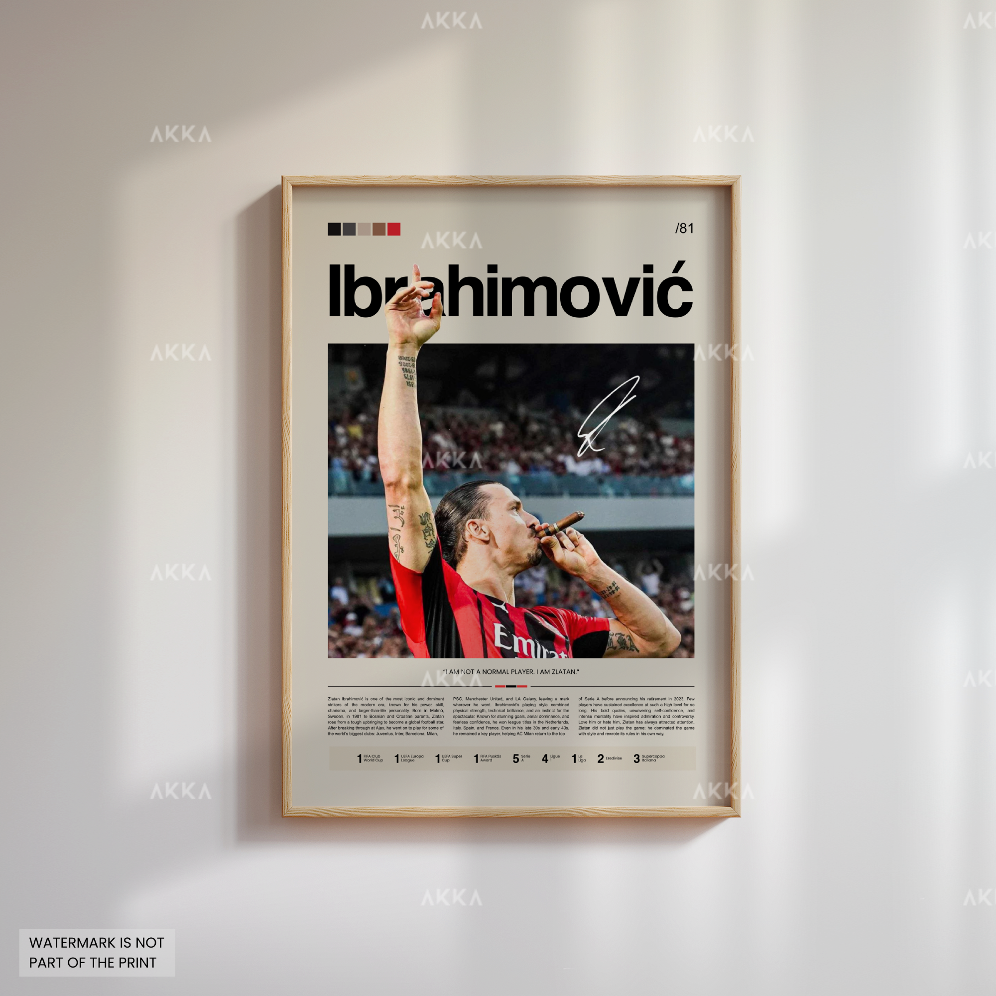 Zlatan Ibrahimovic - AC Milan