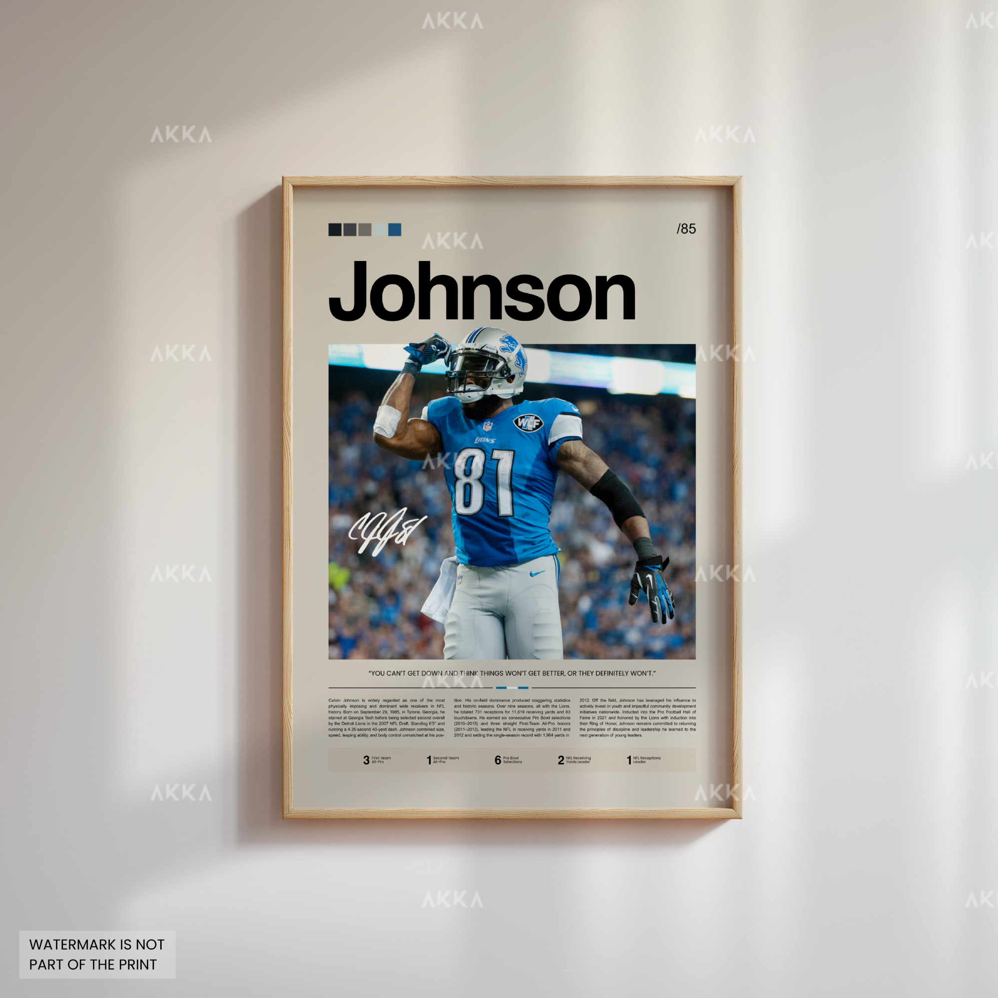 Calvin Johnson - Detroit Lions
