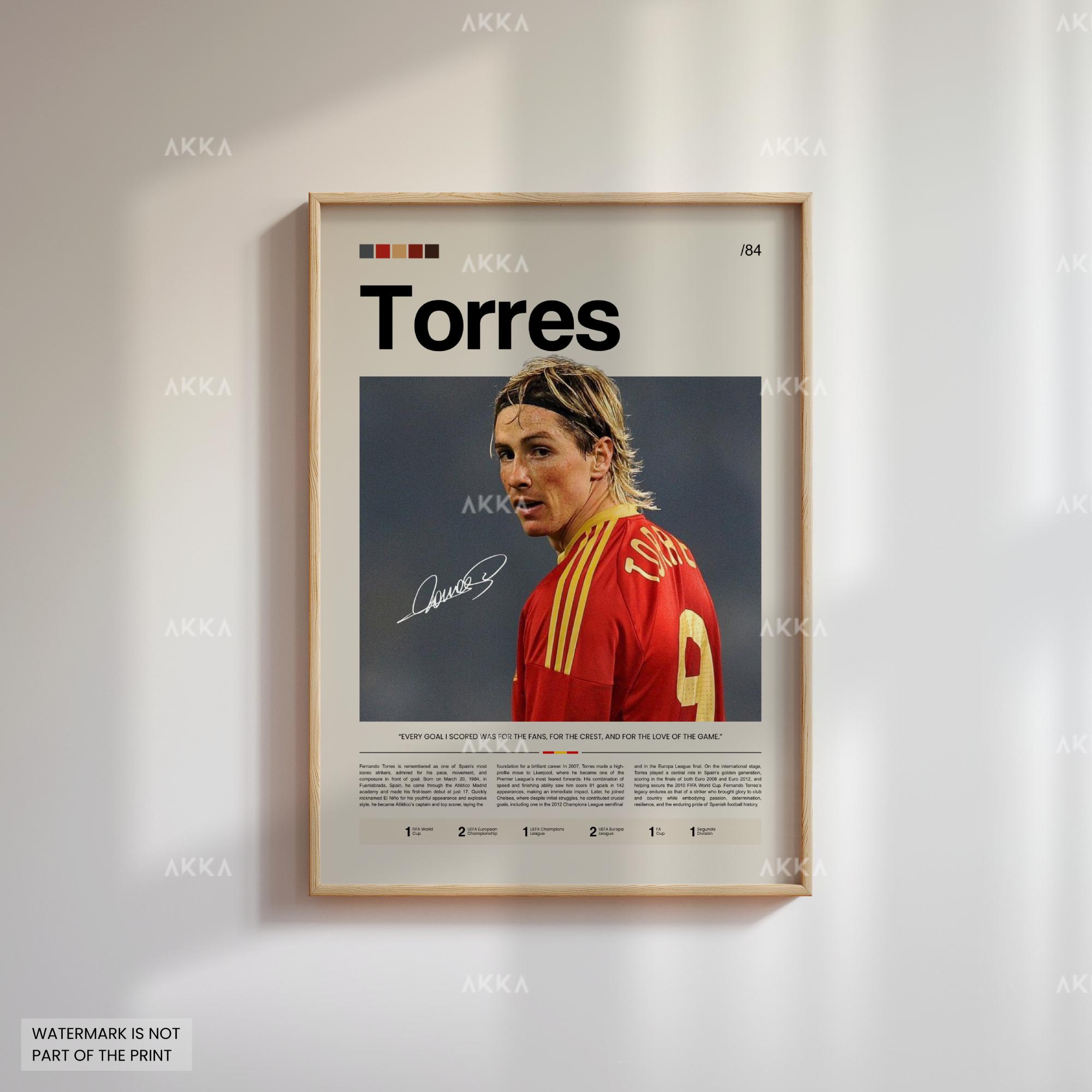 Fernando Torres - Spain