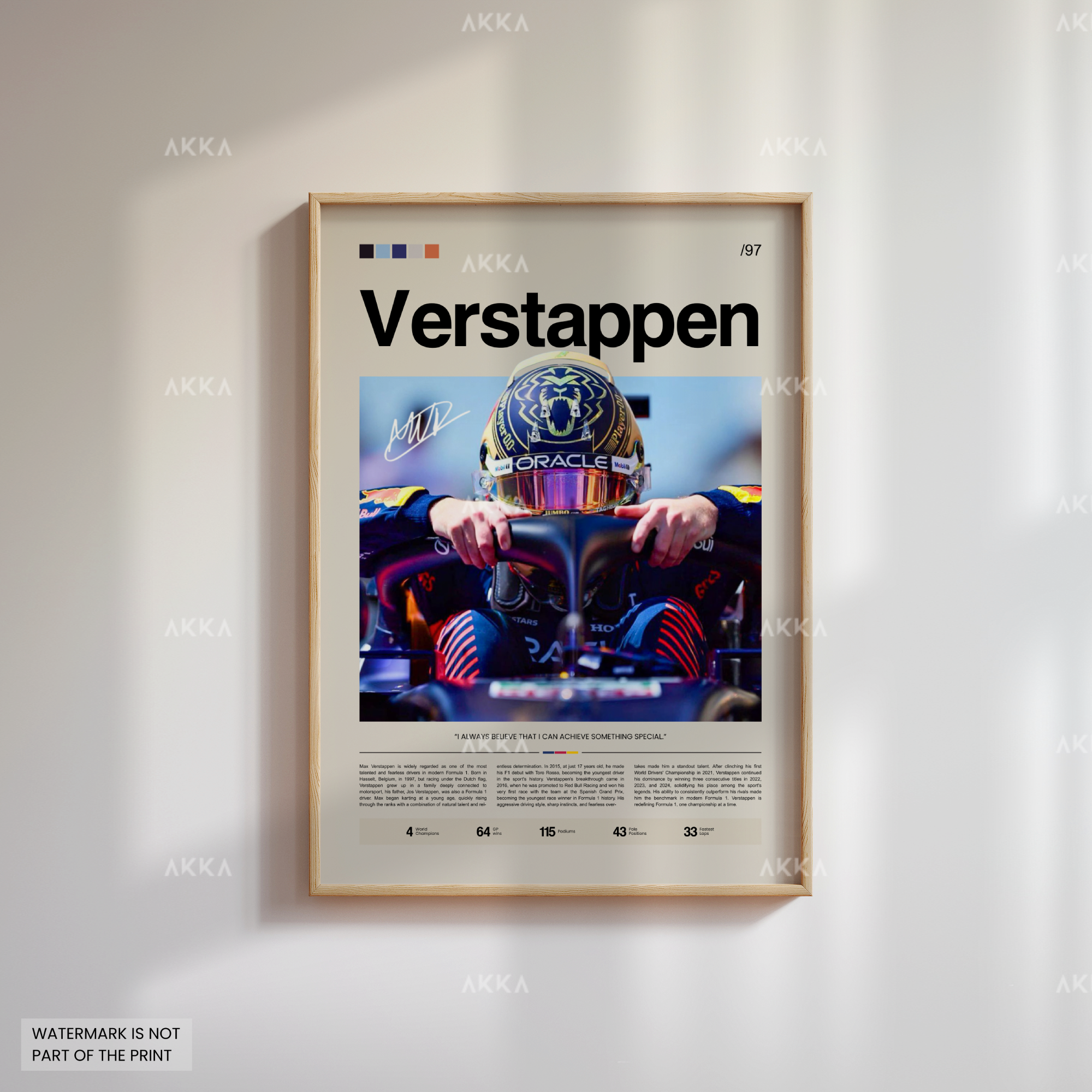 Max Verstappen - Red Bull Racing