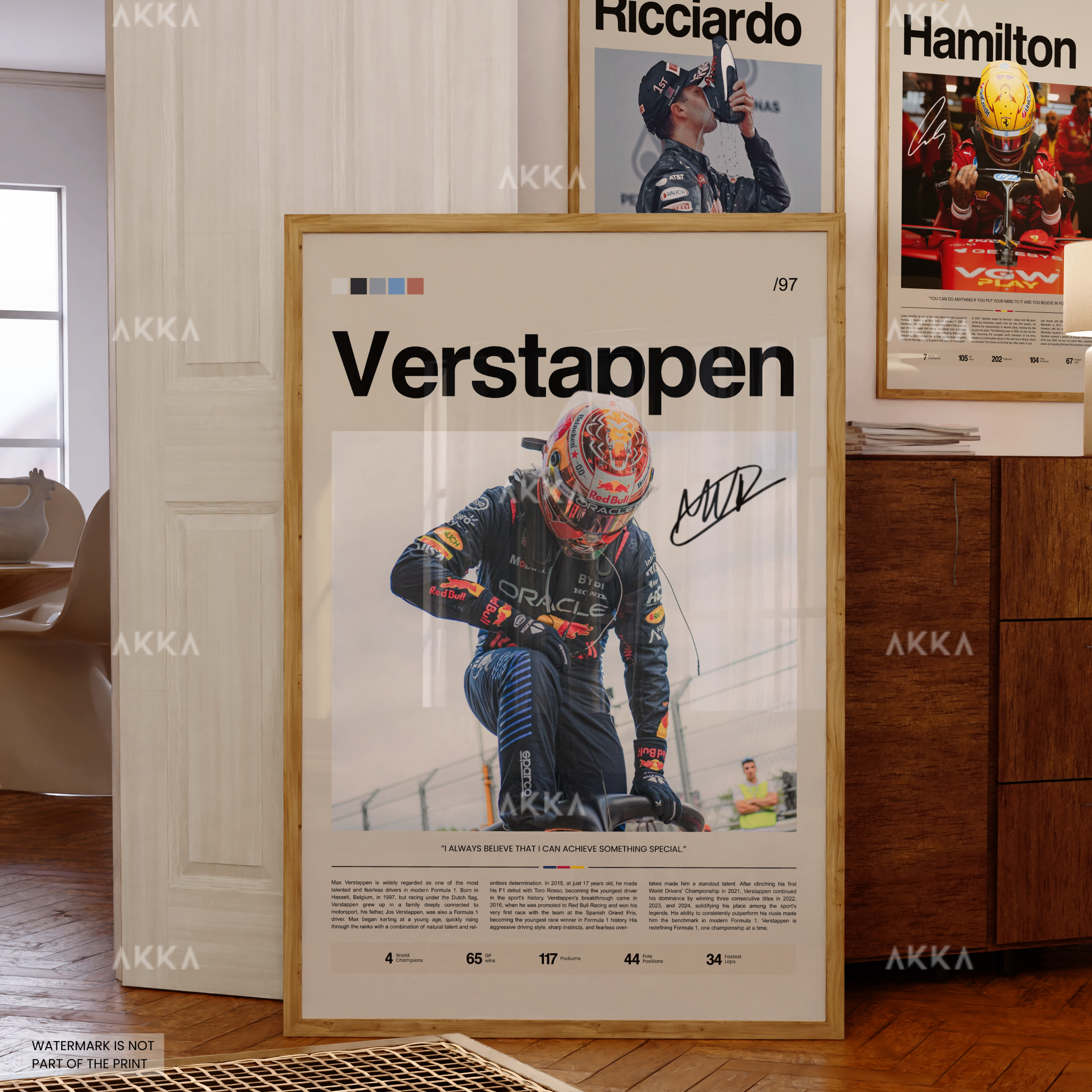 Max Verstappen - Red Bull Racing