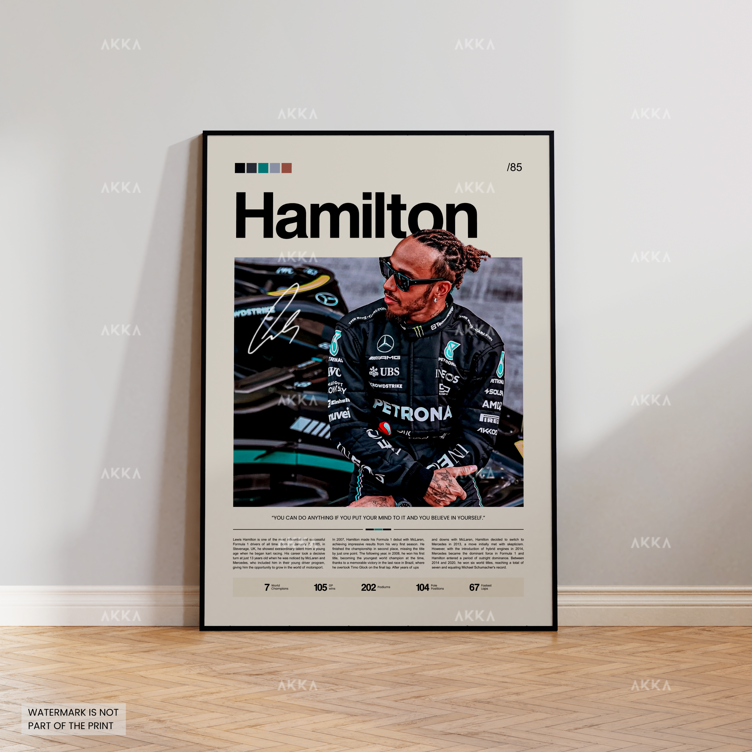 Lewis Hamilton - Mercedes AMG