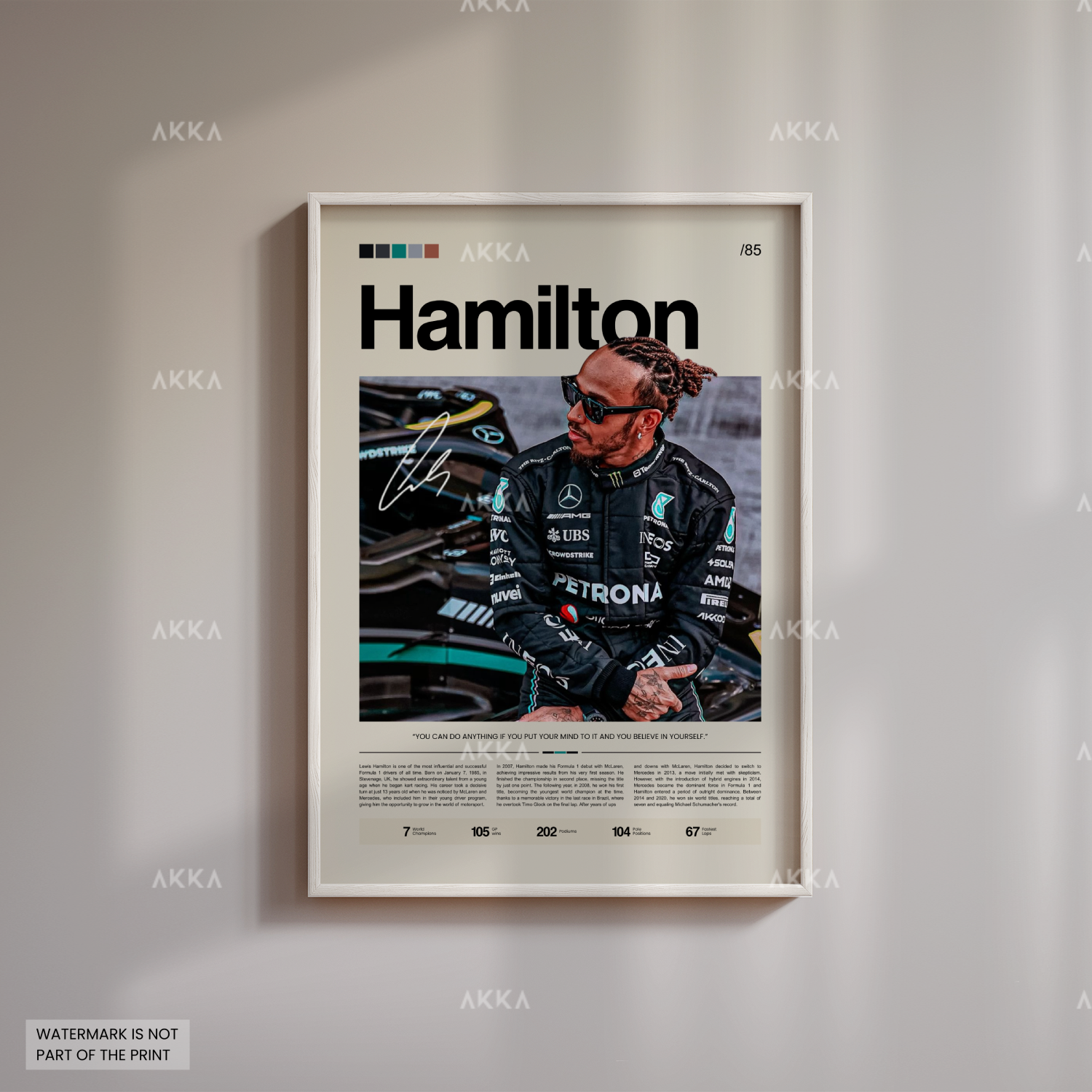Lewis Hamilton - Mercedes AMG