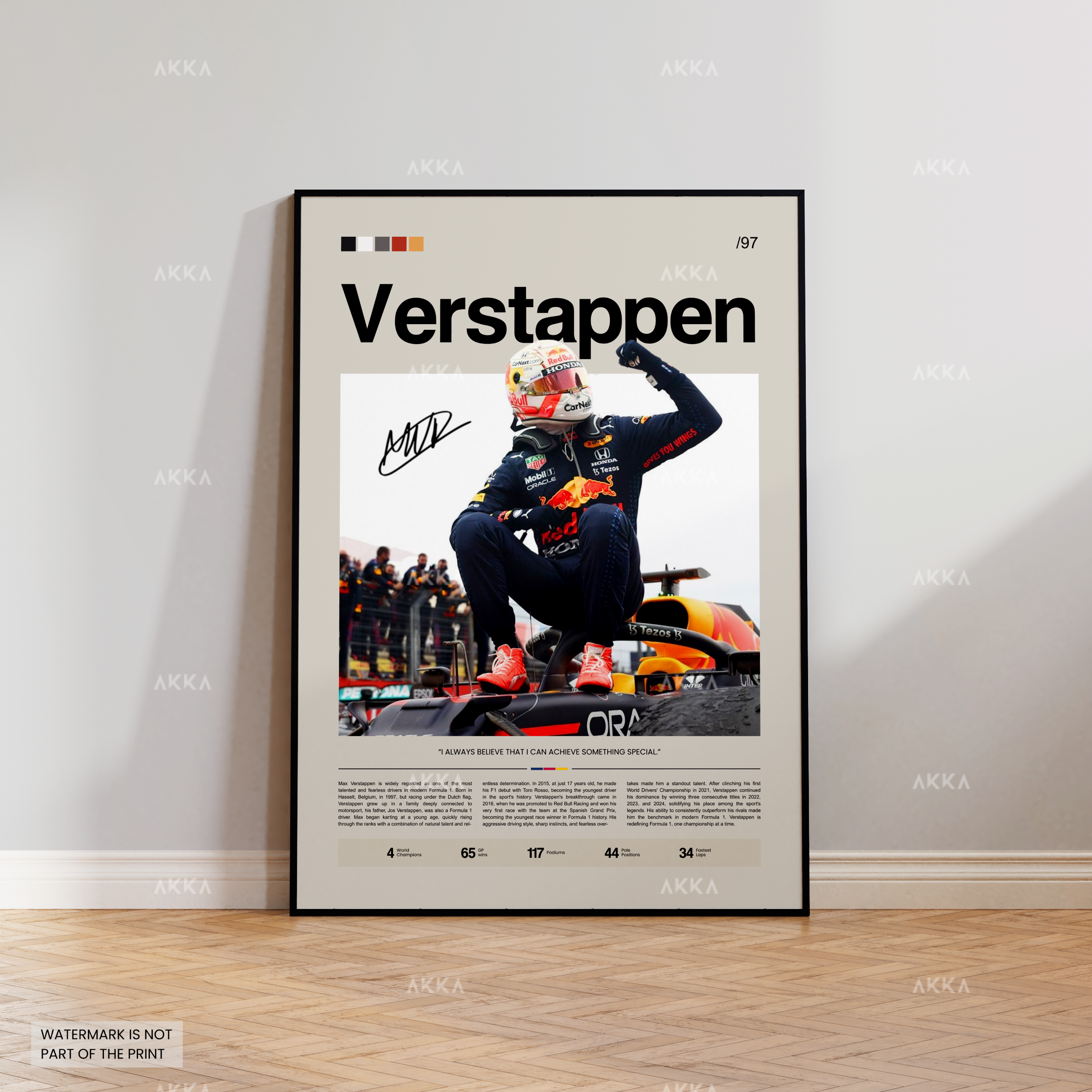 Max Verstappen - Red Bull Racing