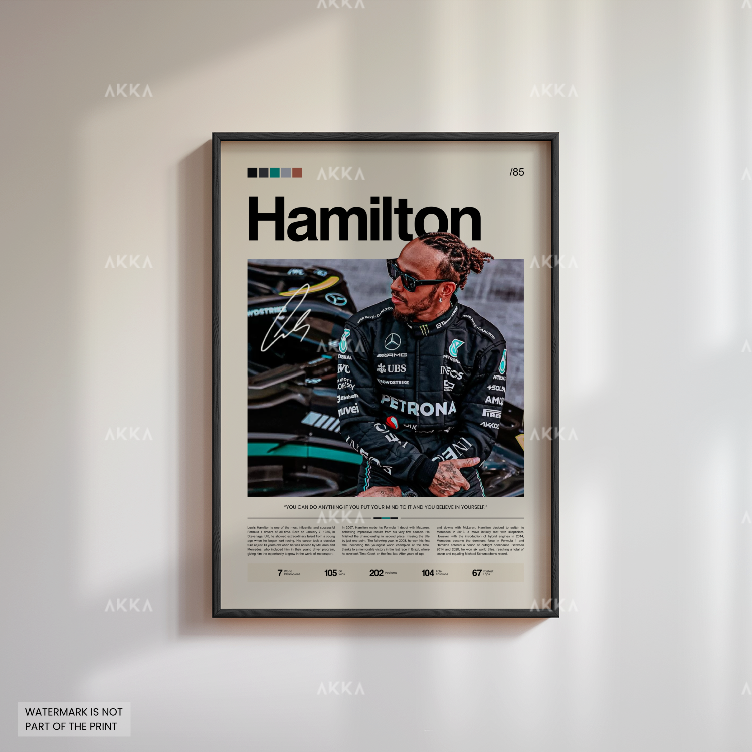 Lewis Hamilton - Mercedes AMG