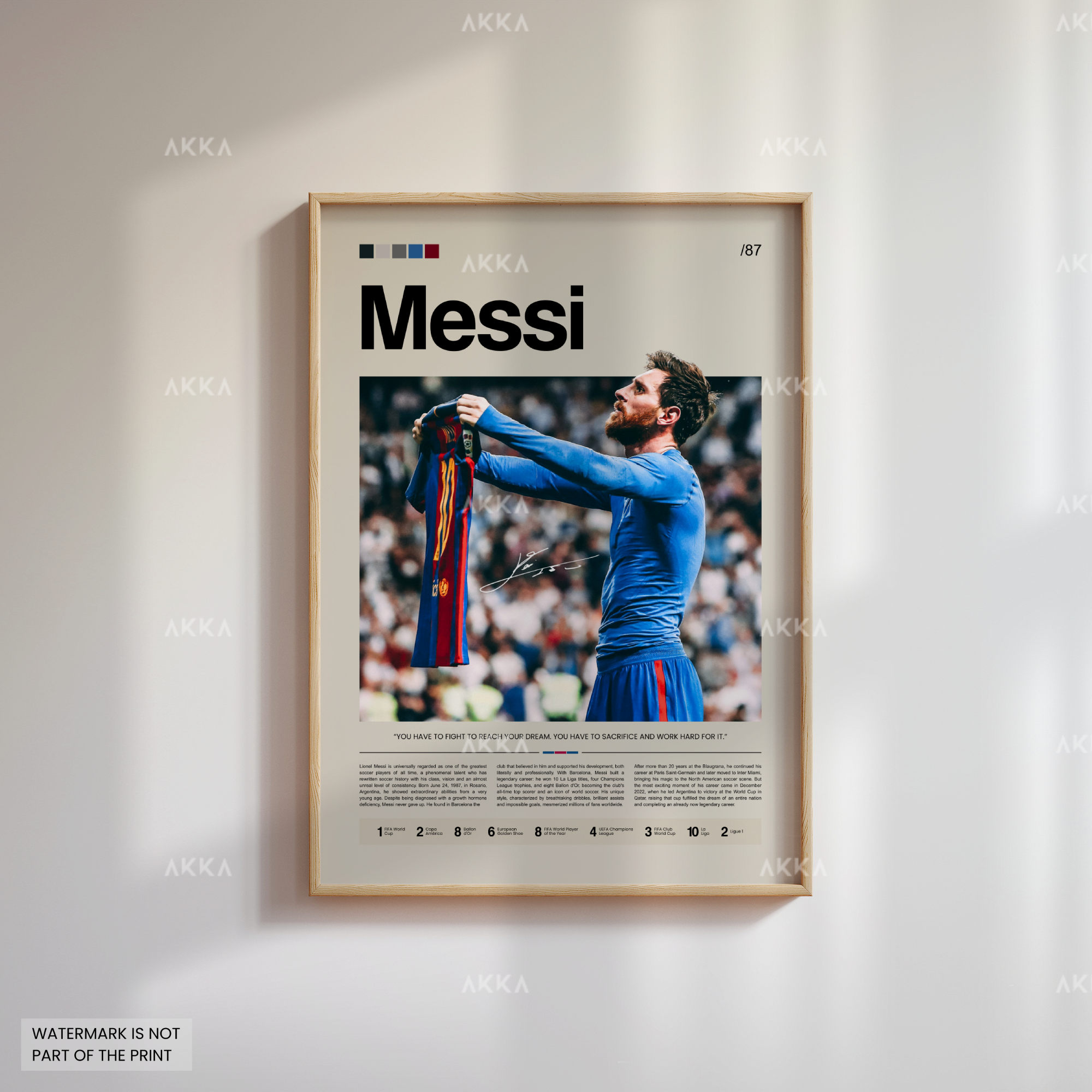 Lionel Messi - FC Barcelona