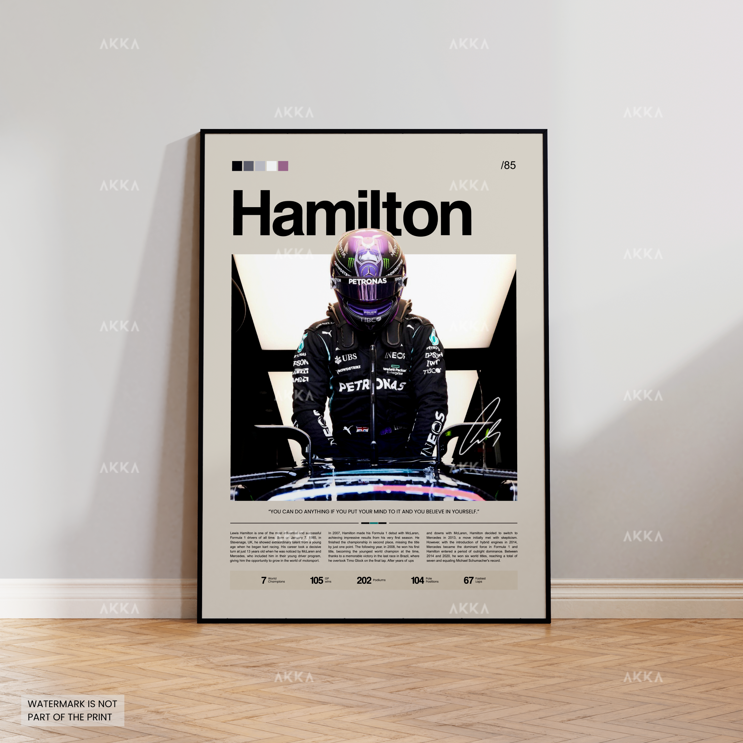 Lewis Hamilton - Mercedes AMG