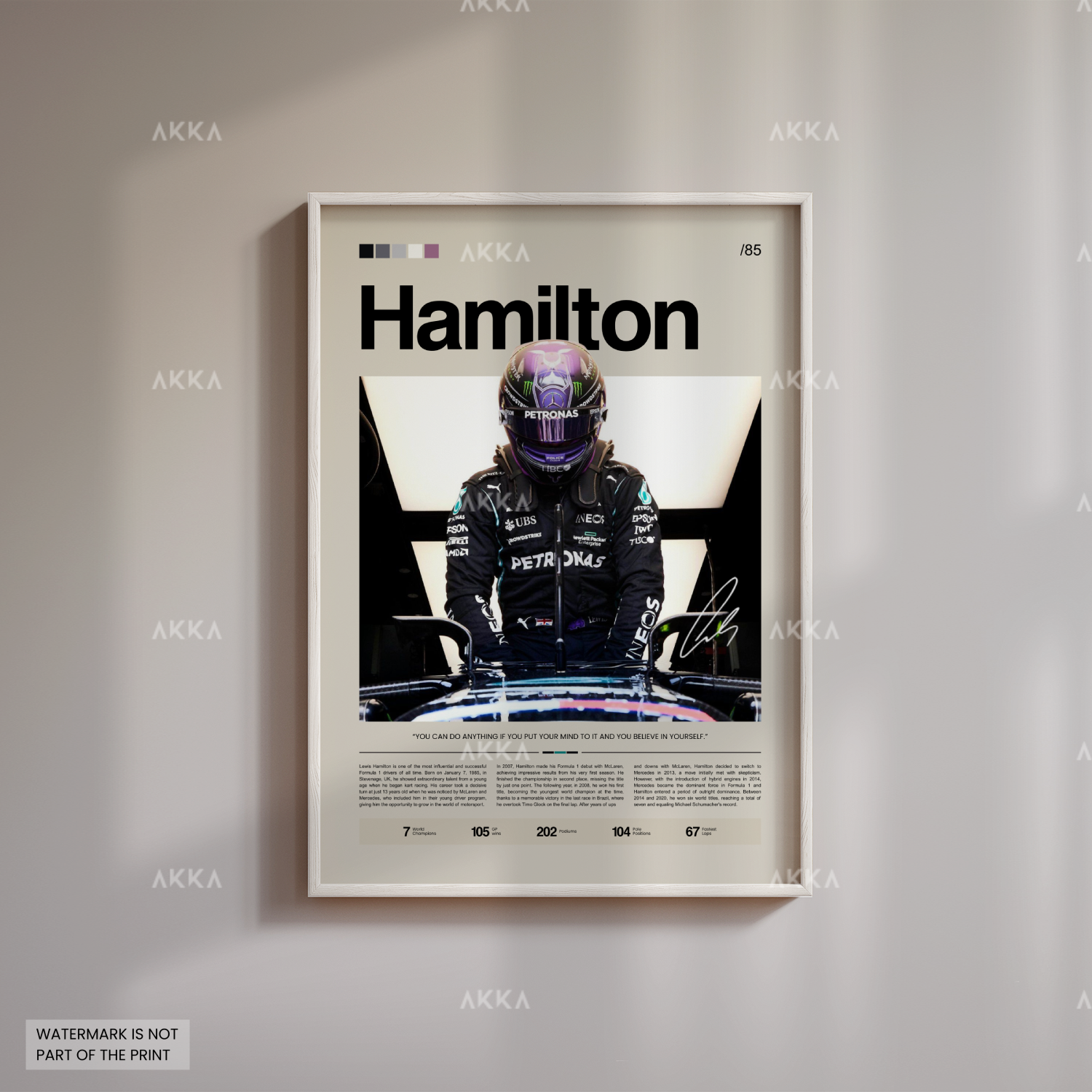 Lewis Hamilton - Mercedes AMG