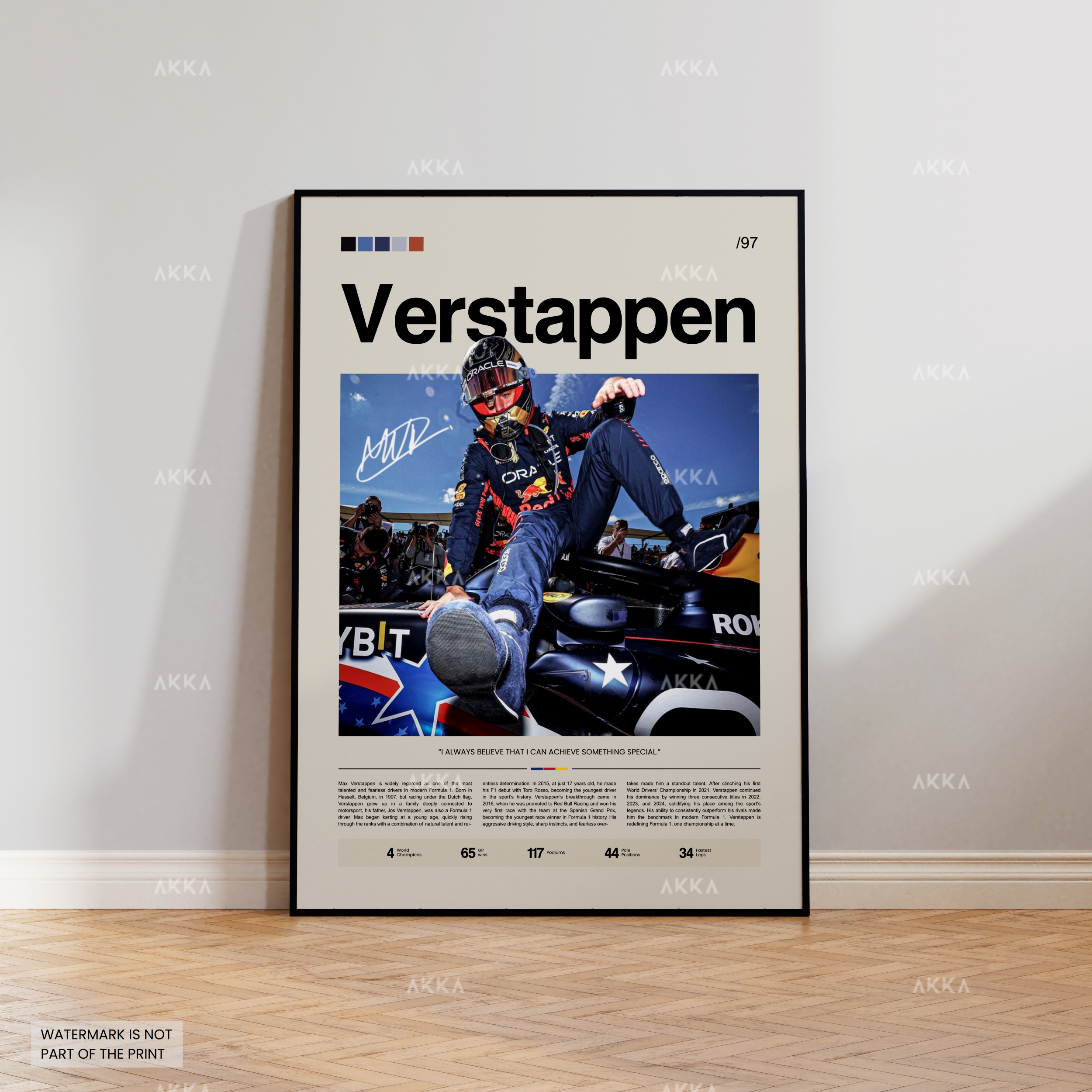 Max Verstappen - Red Bull Racing