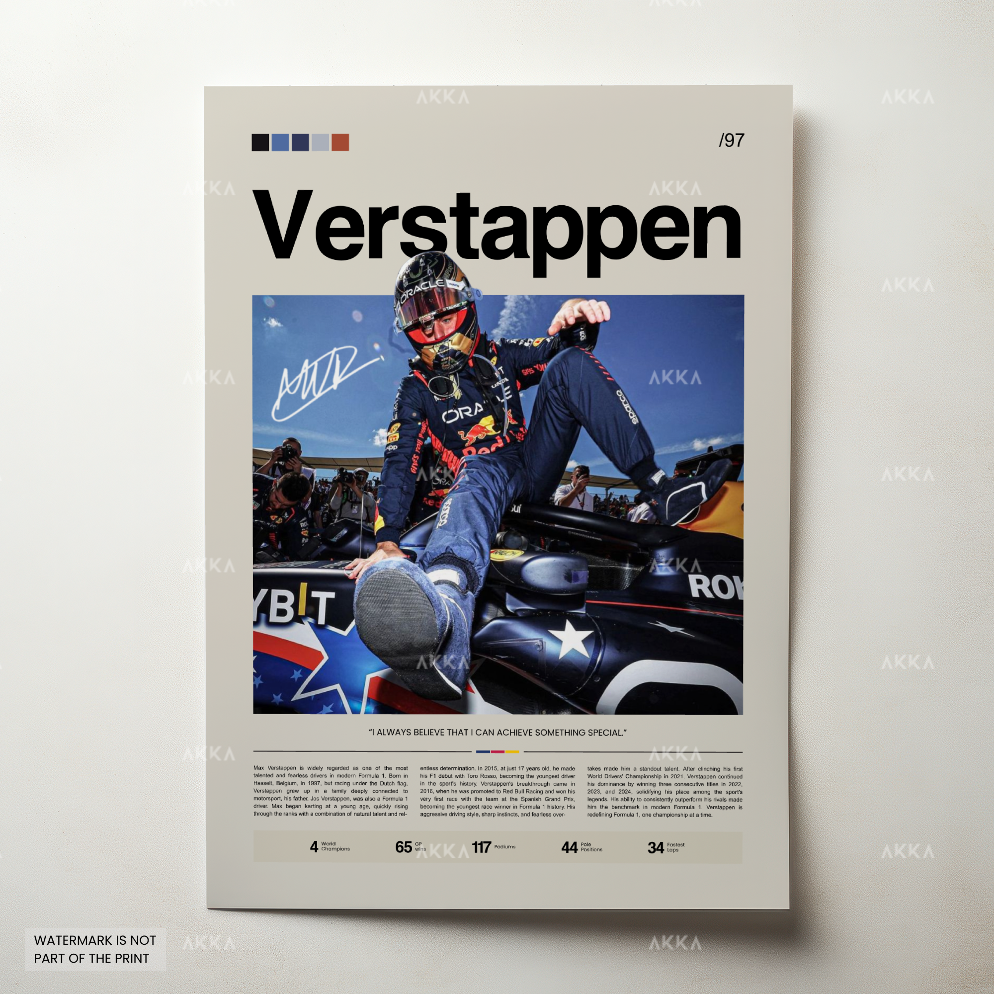 Max Verstappen - Red Bull Racing