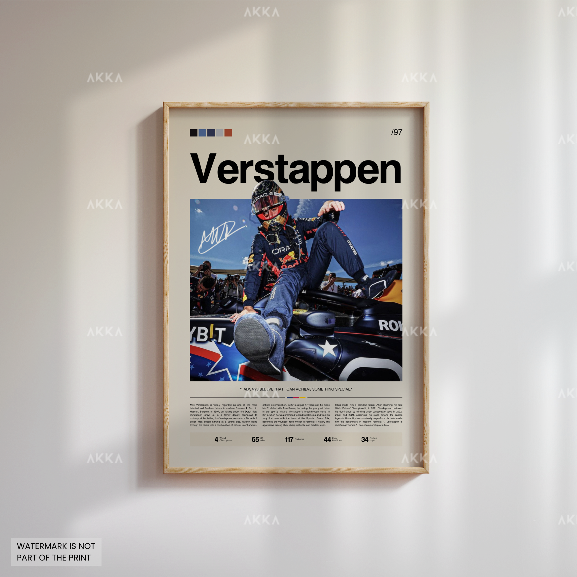 Max Verstappen - Red Bull Racing