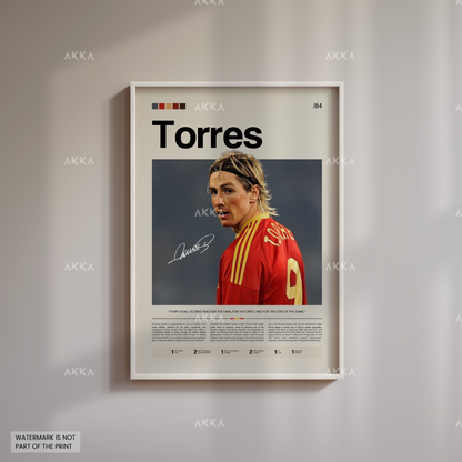 Fernando Torres - Spain