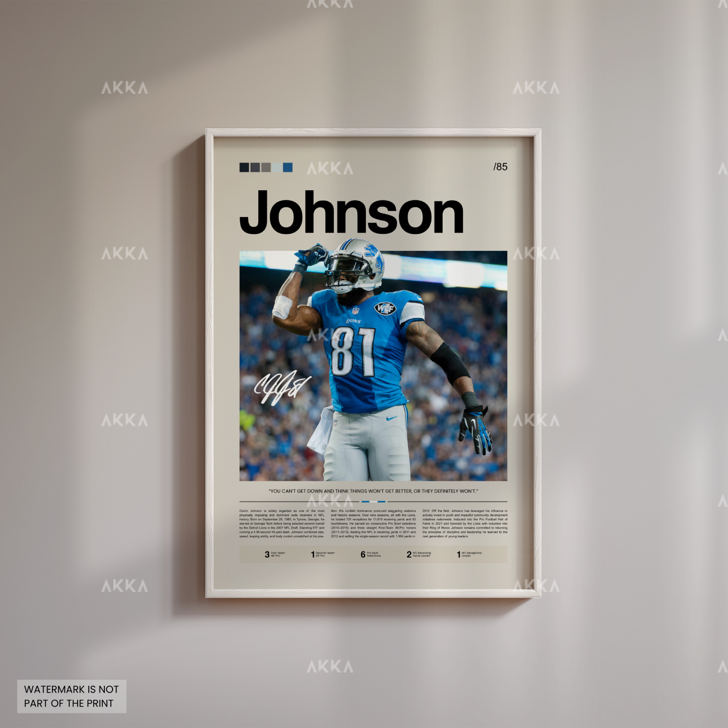 Calvin Johnson - Detroit Lions