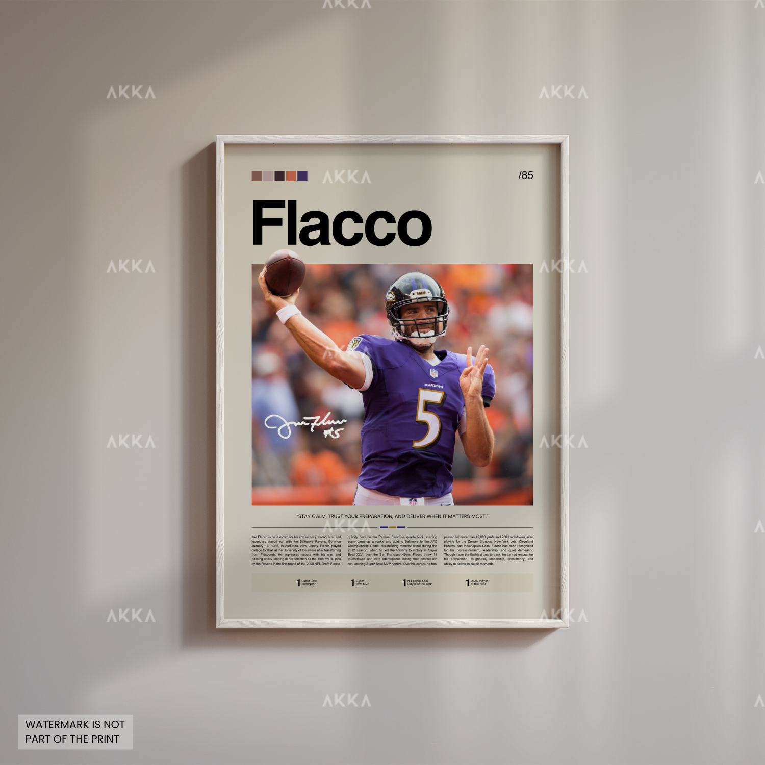 Joe Flacco - Baltimore Ravens
