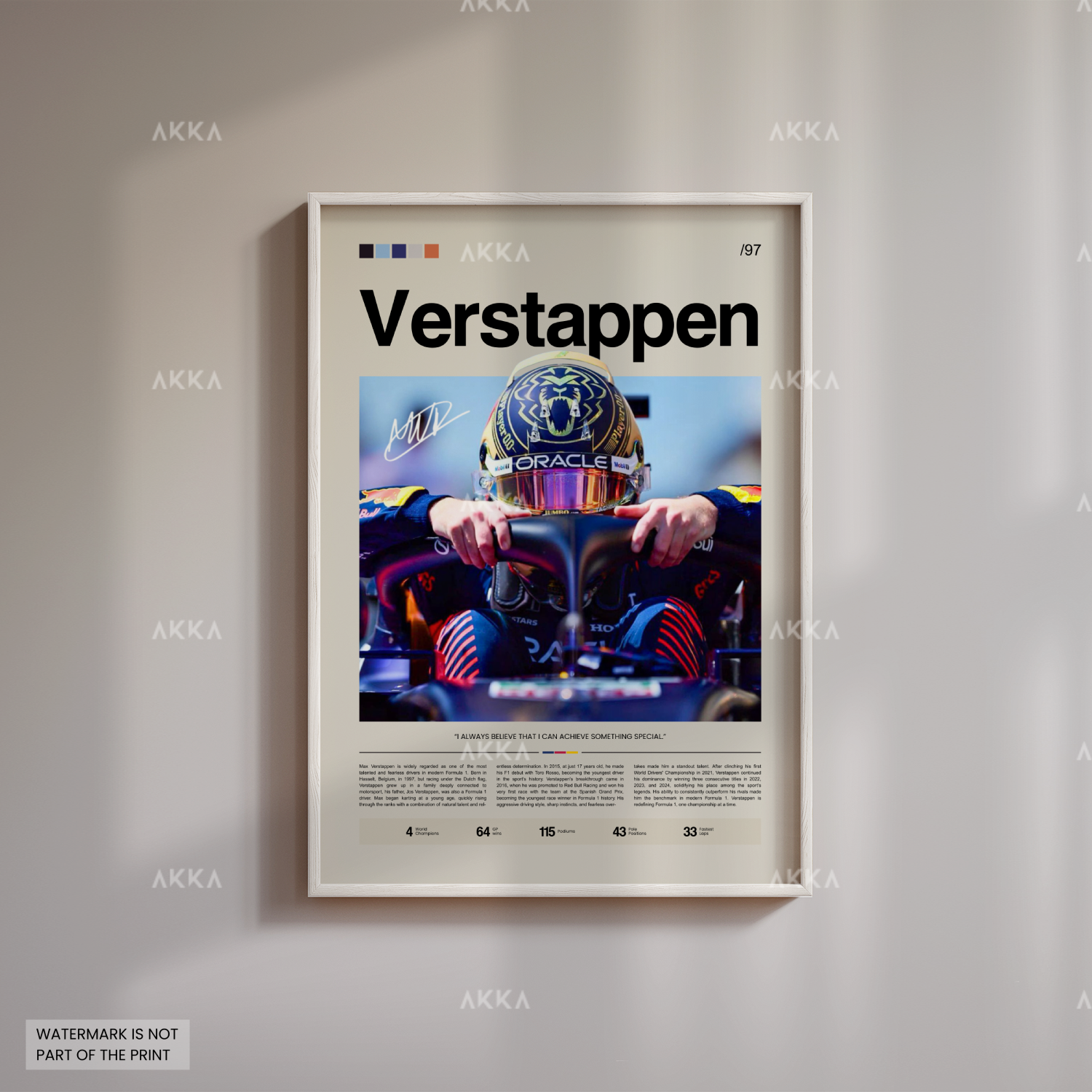 Max Verstappen - Red Bull Racing