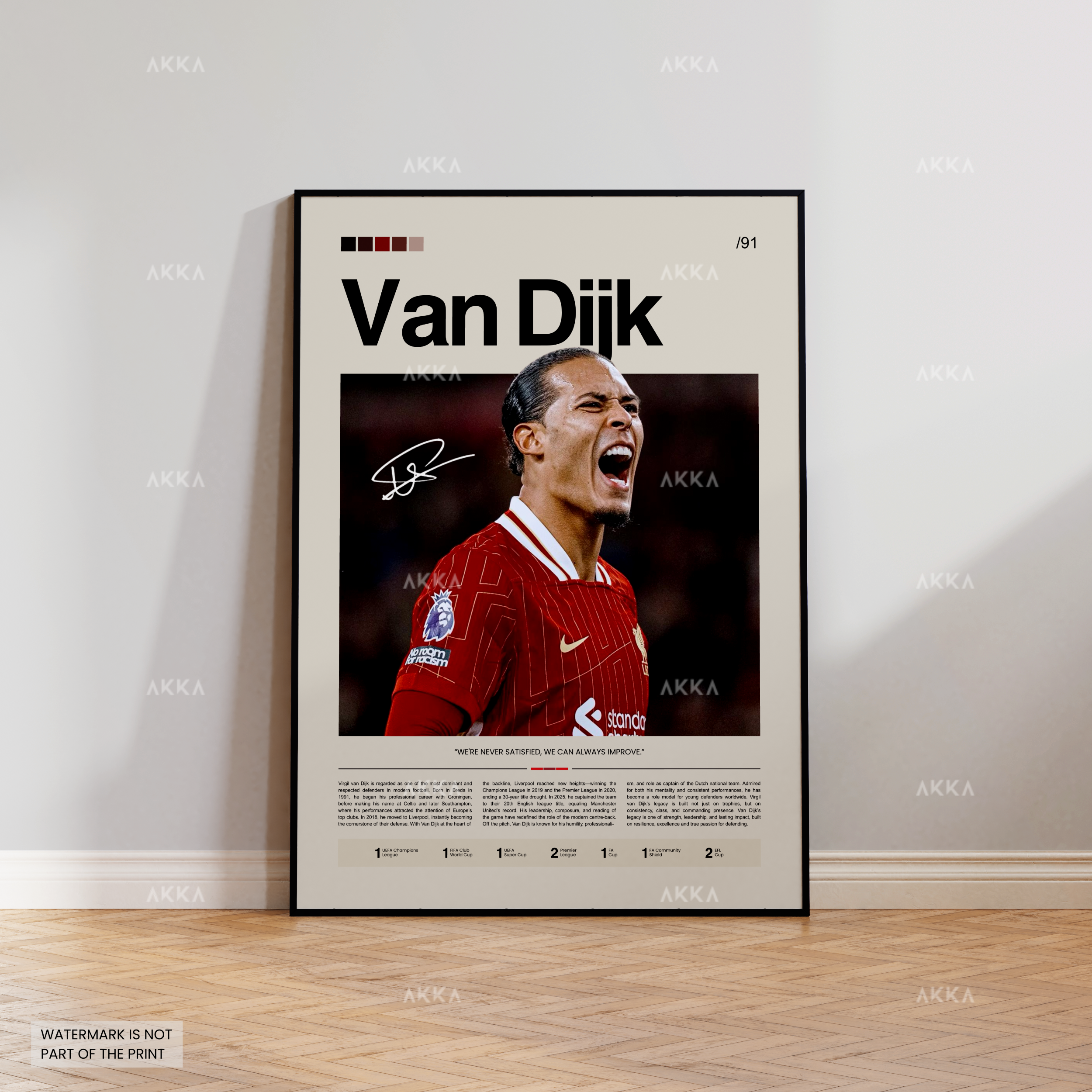 Virgil Van Dijk - Liverpool FC