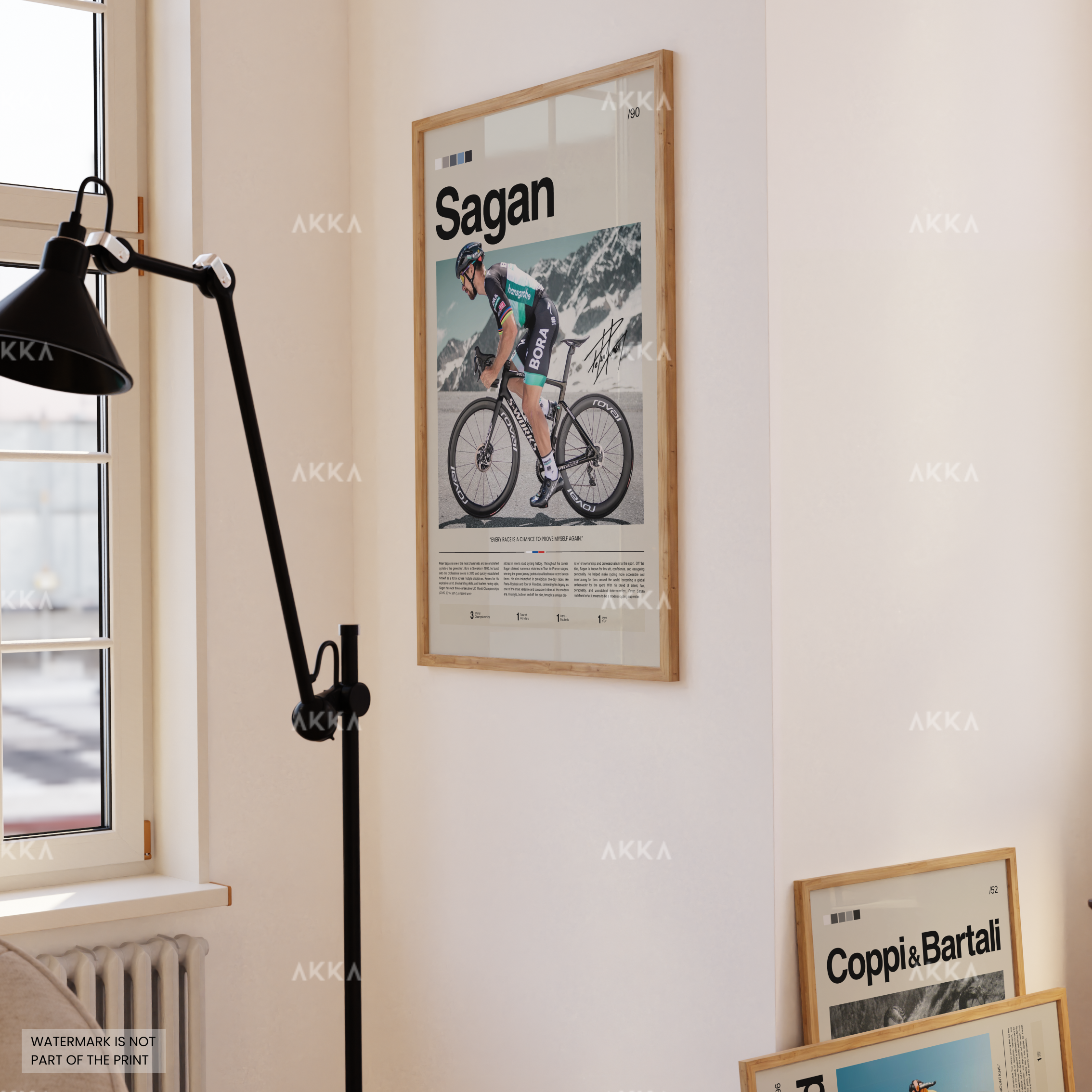 Peter Sagan