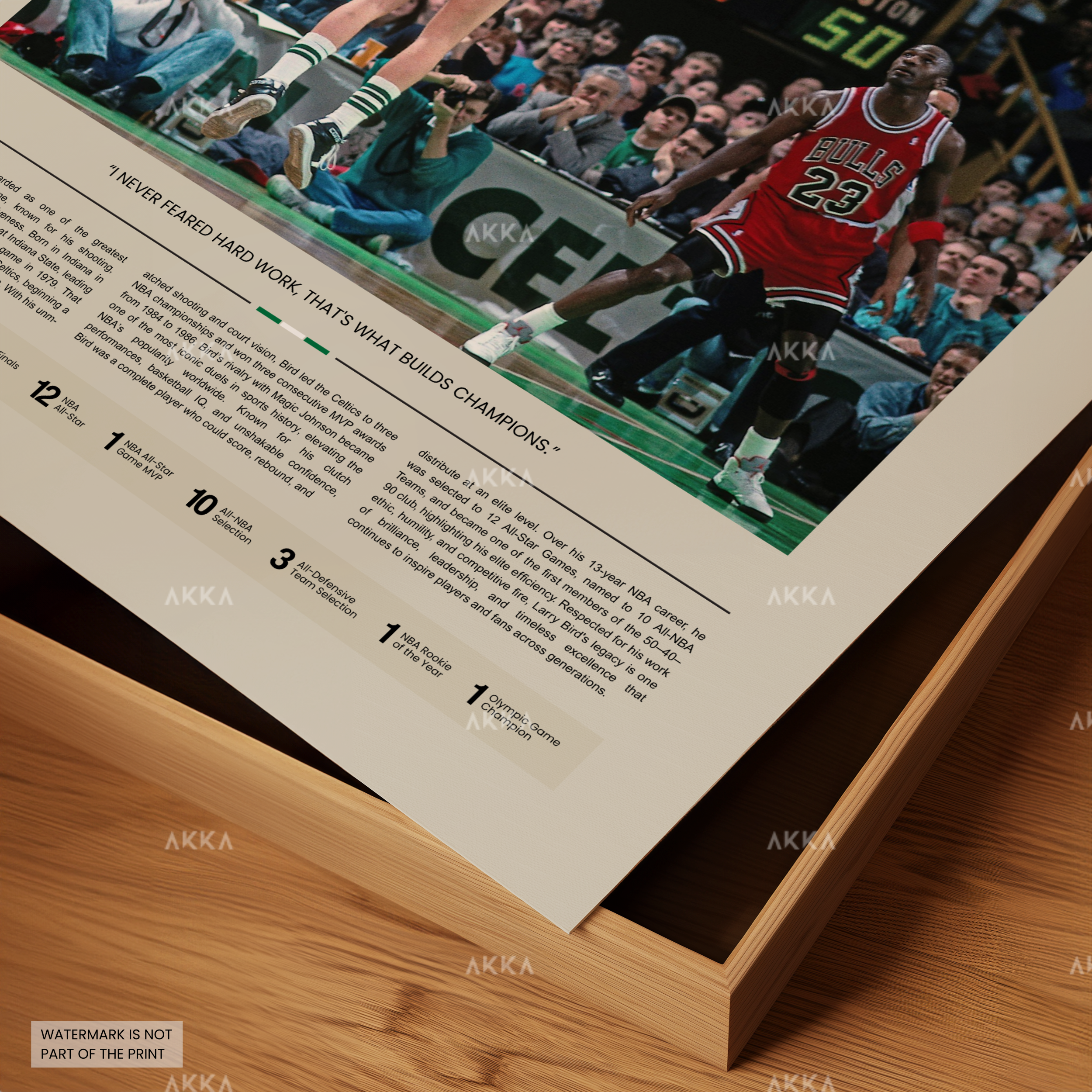 Larry Bird Poster Detailed