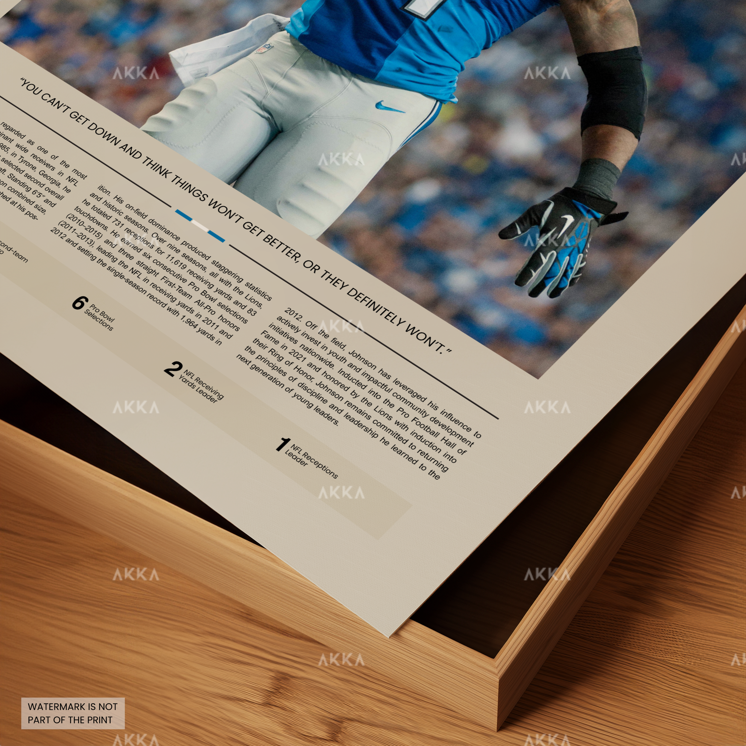 Calvin Johnson - Detroit Lions