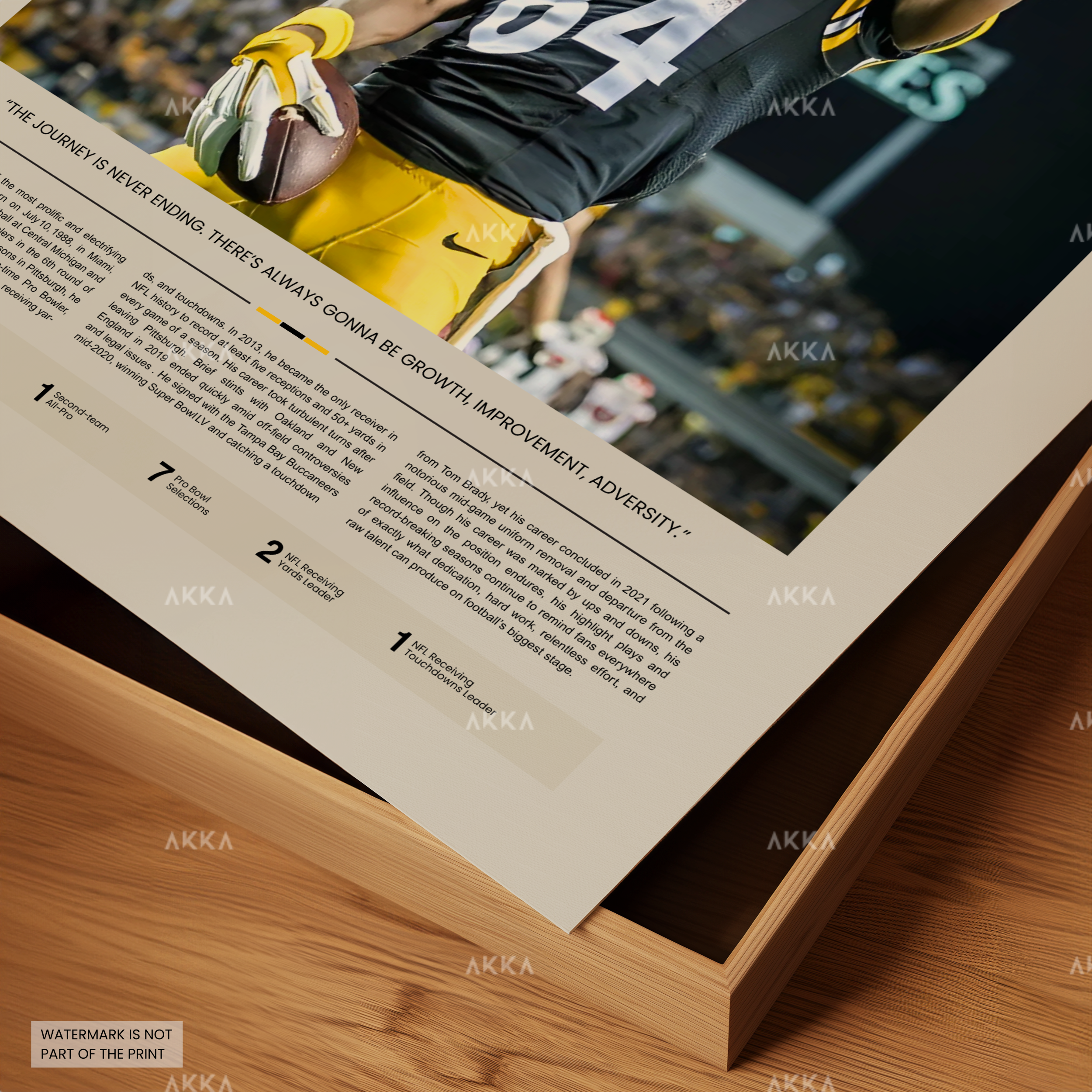 Antonio Brown - Pittsburgh Steelers