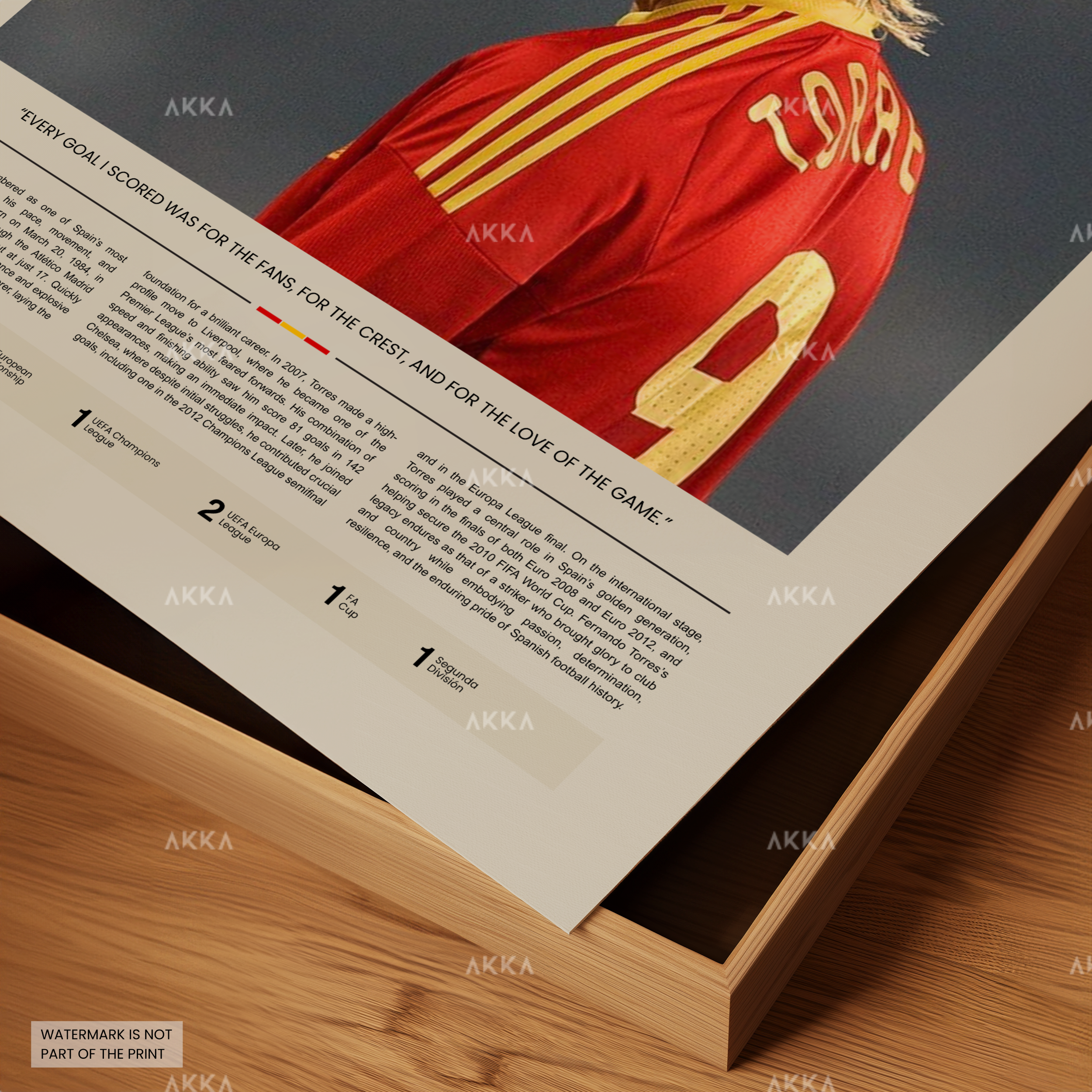 Fernando Torres - Spain