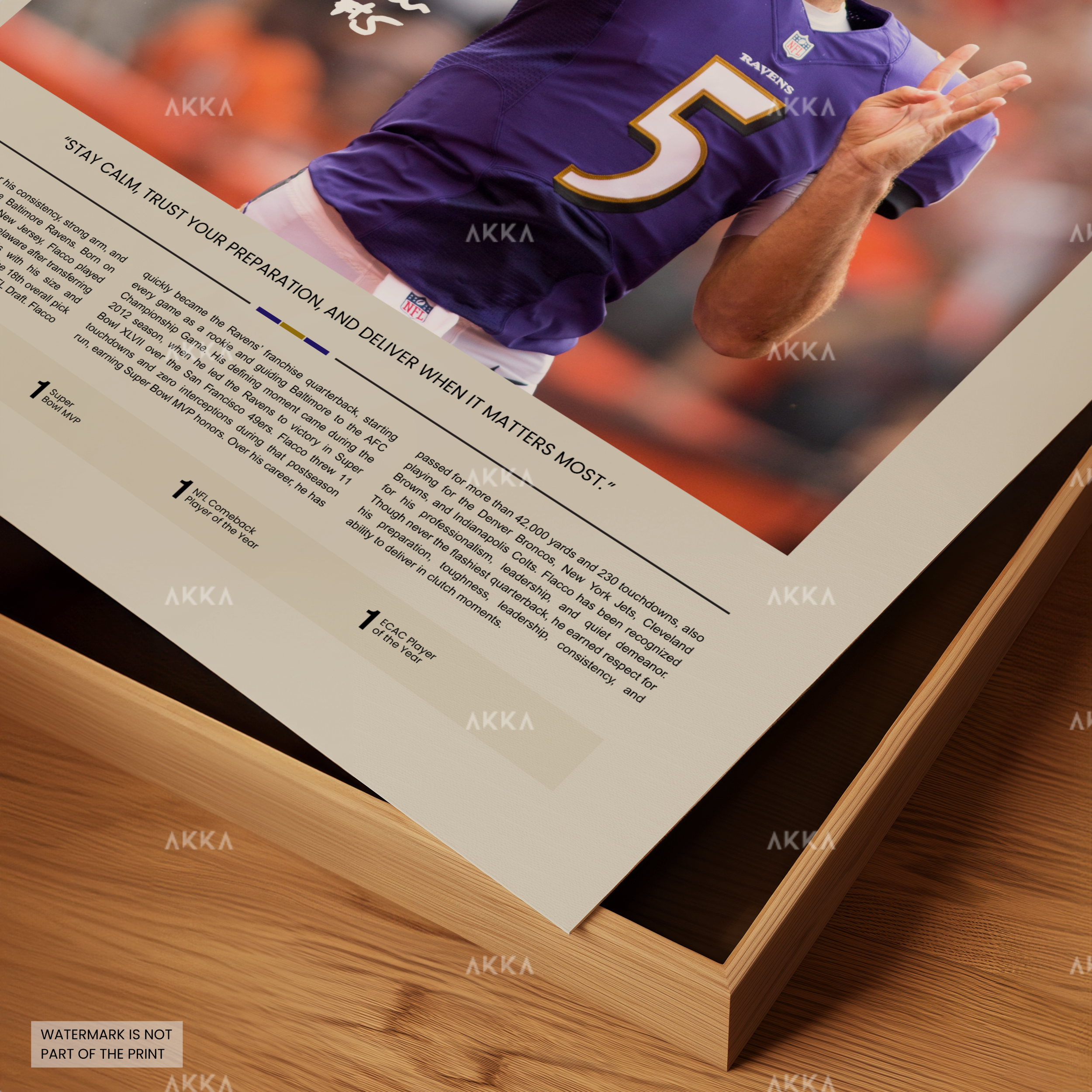 Joe Flacco - Baltimore Ravens