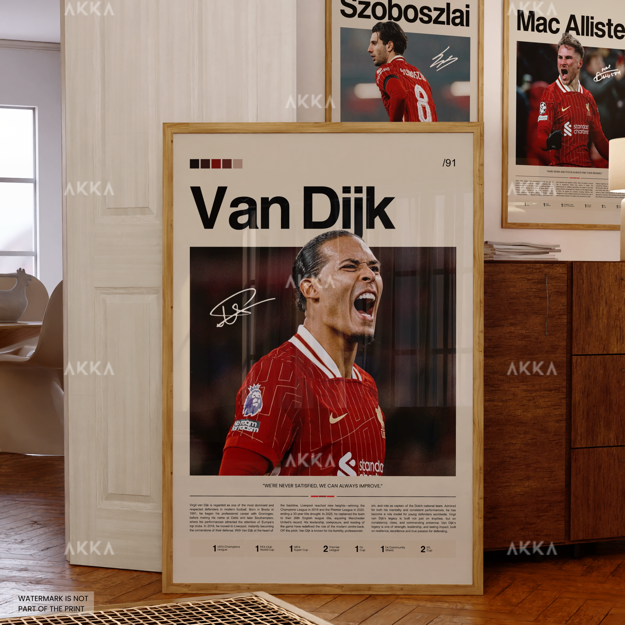Virgil Van Dijk - Liverpool FC
