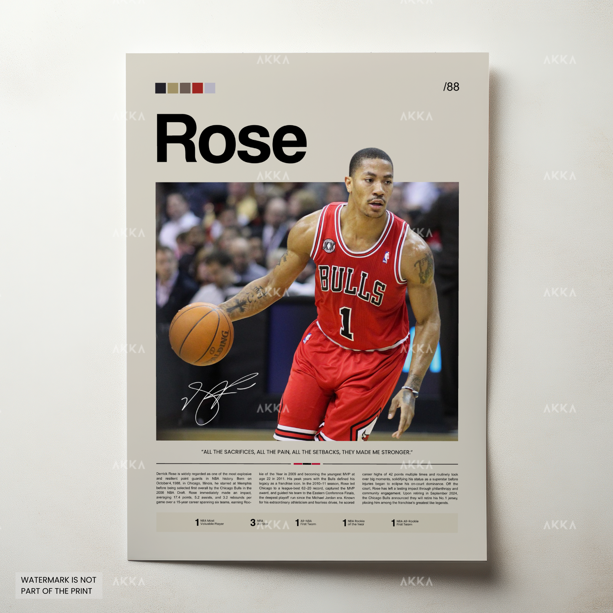 Derrick Rose - Chicago Bulls