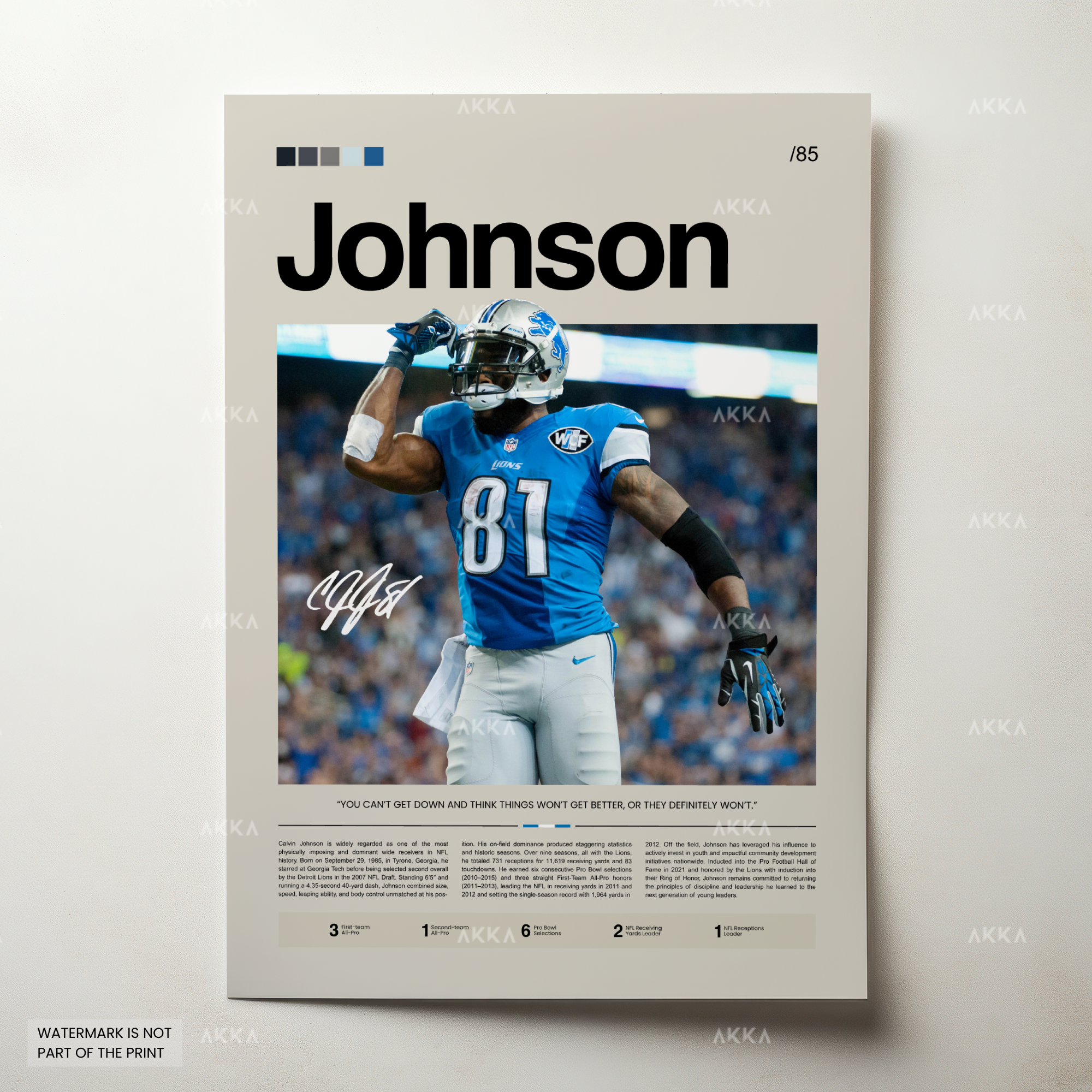 Calvin Johnson - Detroit Lions