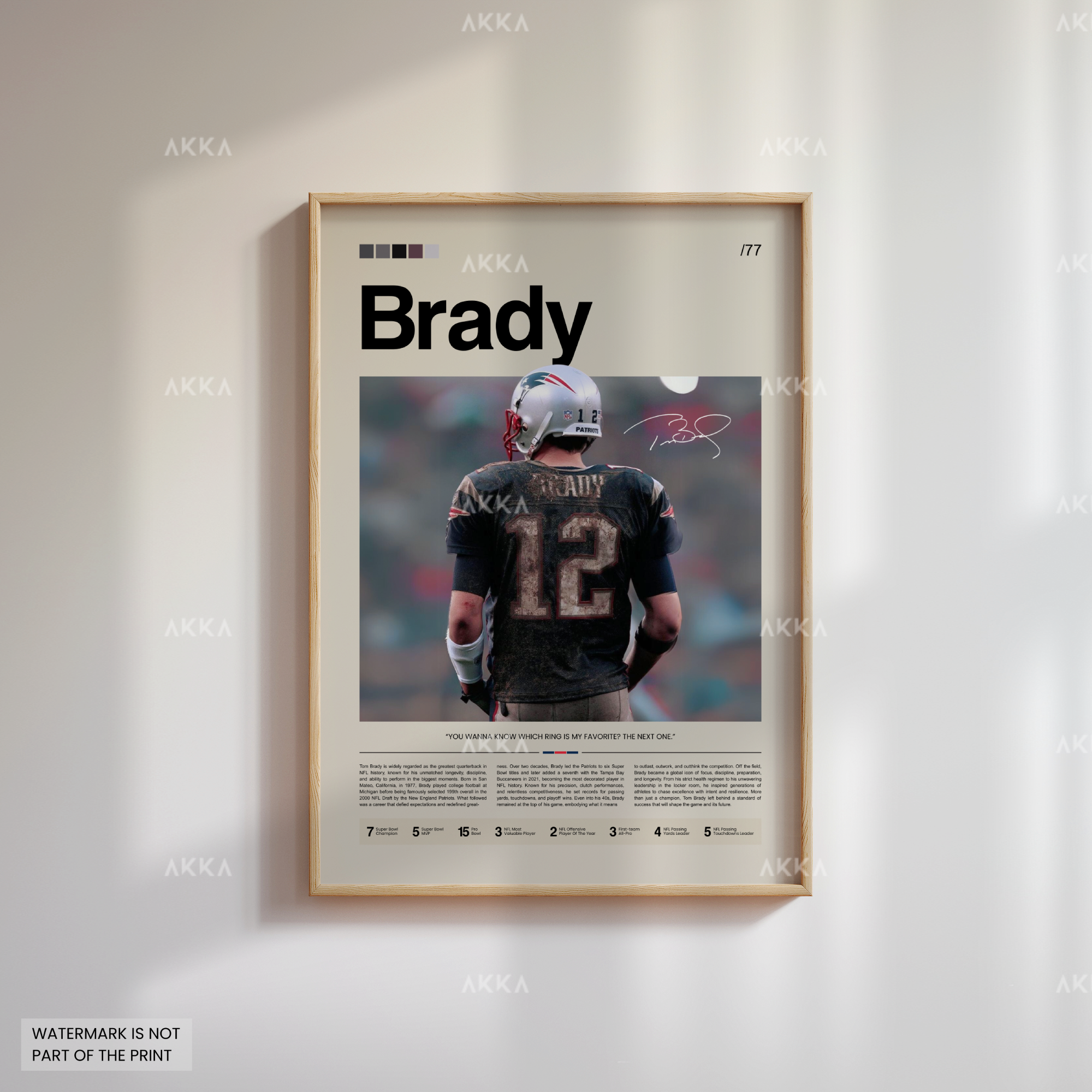 Tom Brady - New England Patriots
