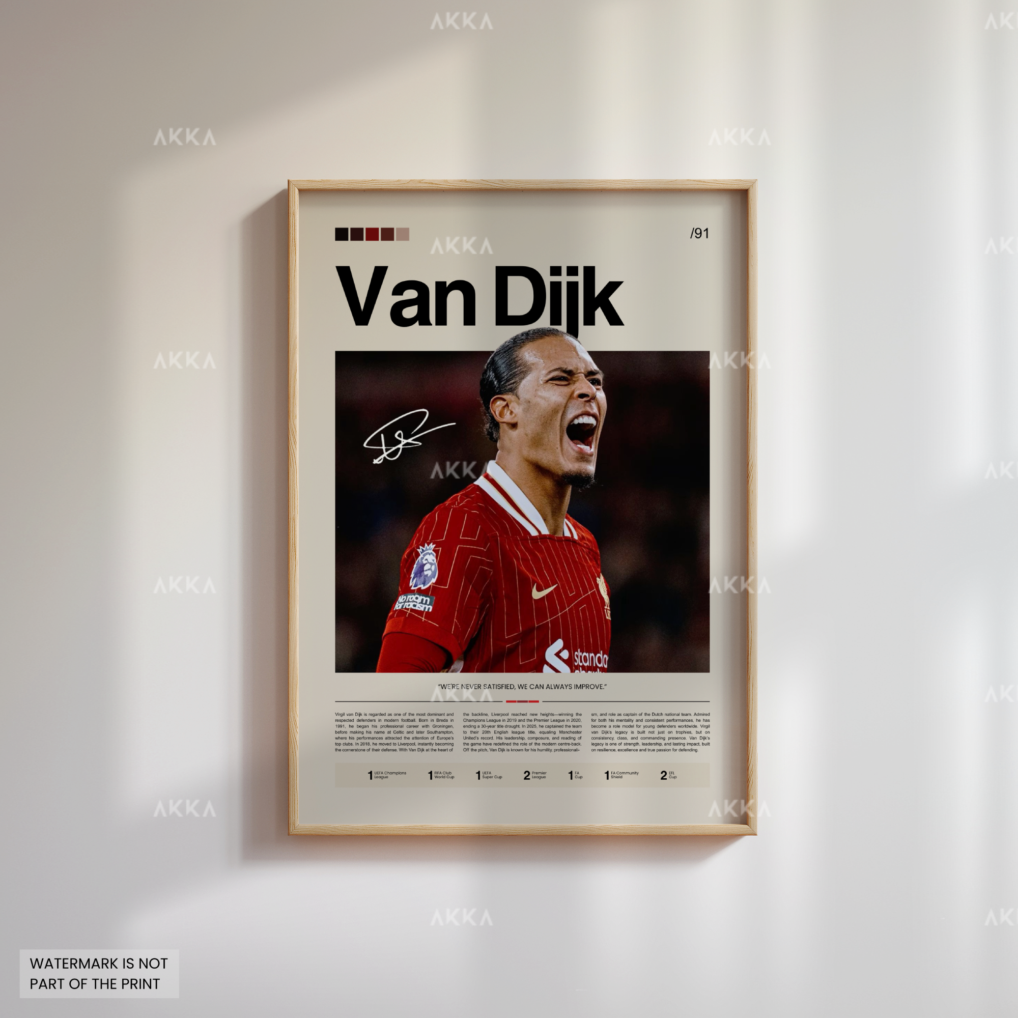 Virgil Van Dijk - Liverpool FC
