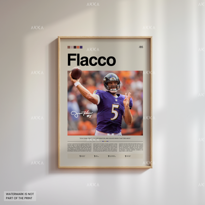 Joe Flacco - Baltimore Ravens