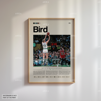 Larry Bird - Boston Celtics