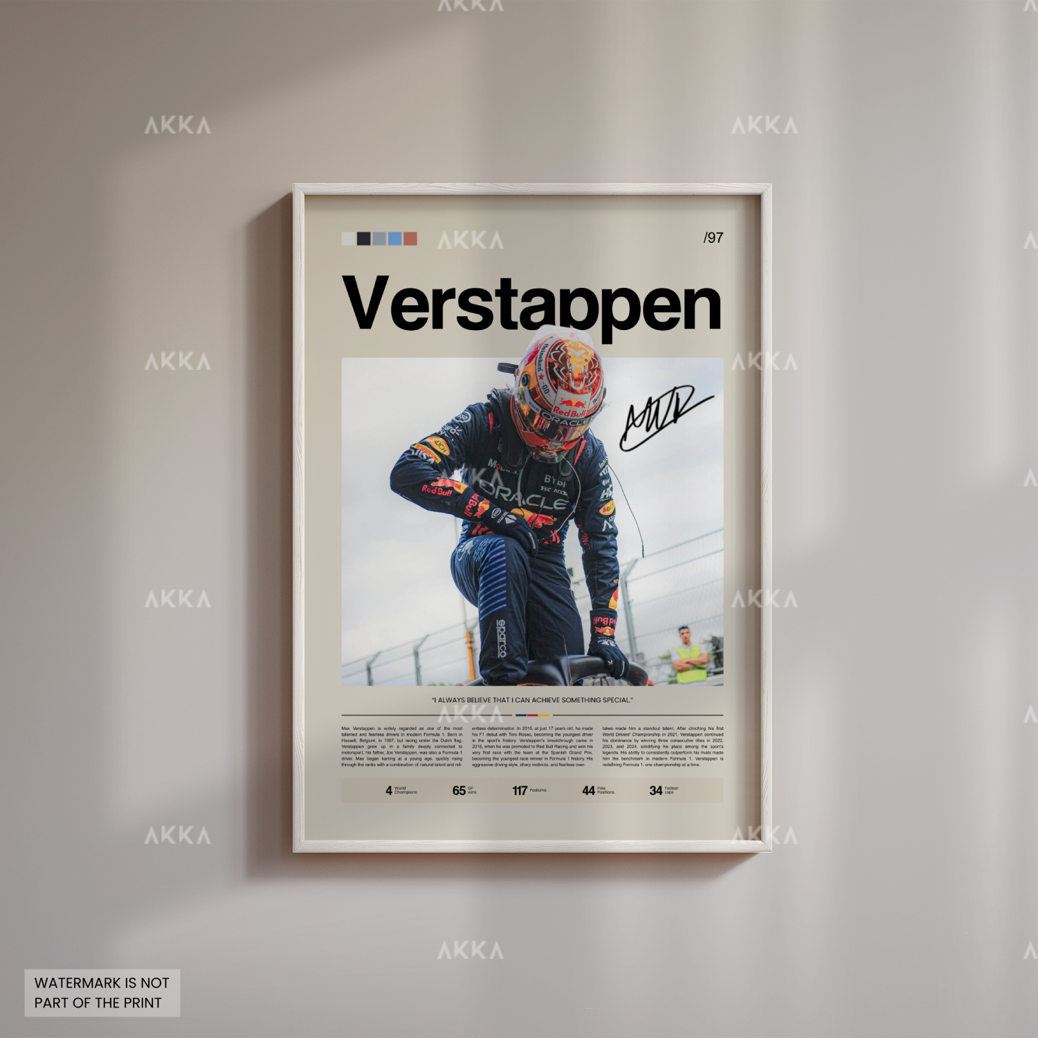 Max Verstappen - Red Bull Racing